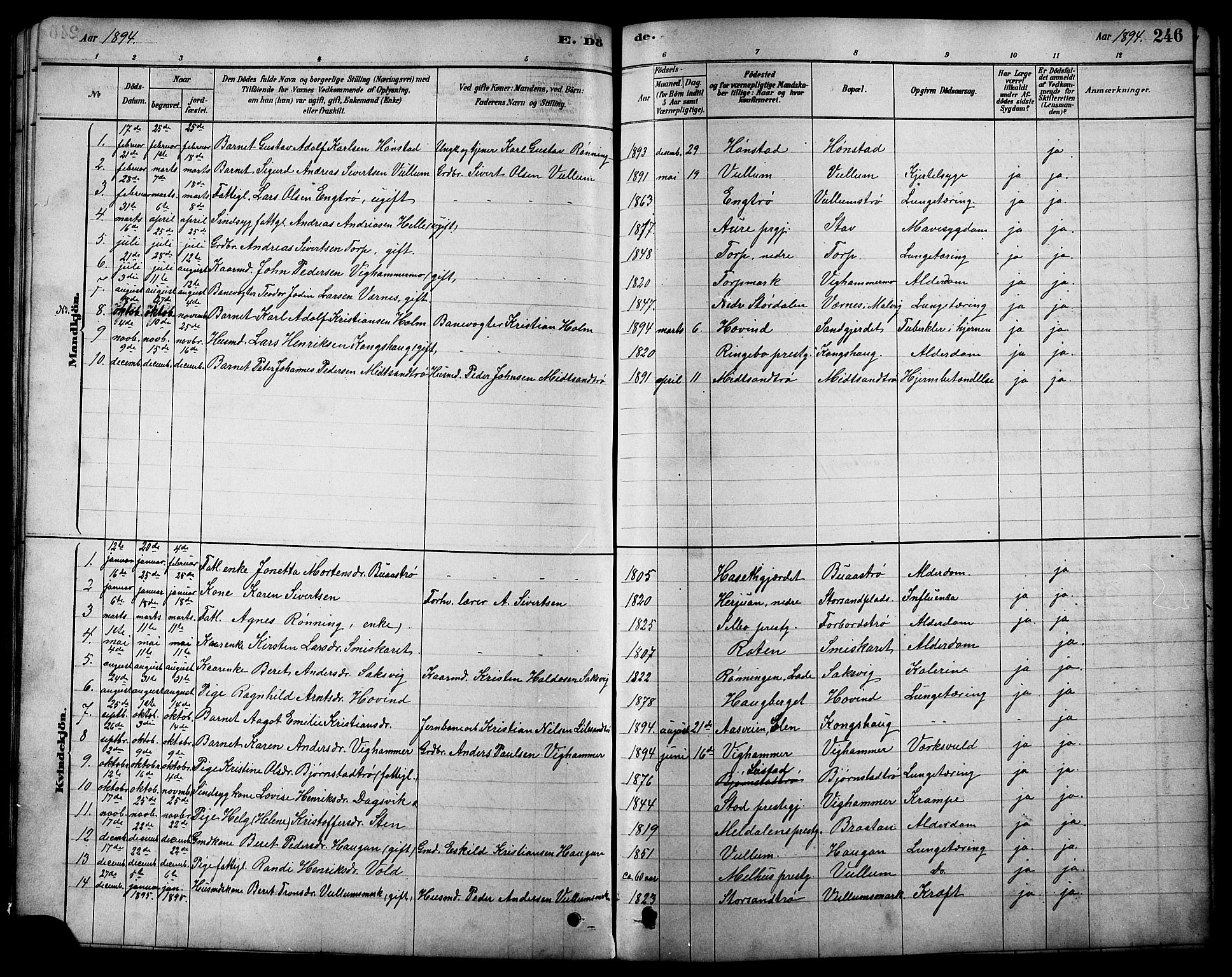 Ministerialprotokoller, klokkerbøker og fødselsregistre - Sør-Trøndelag, SAT/A-1456/616/L0423: Parish register (copy) no. 616C06, 1878-1903, p. 246