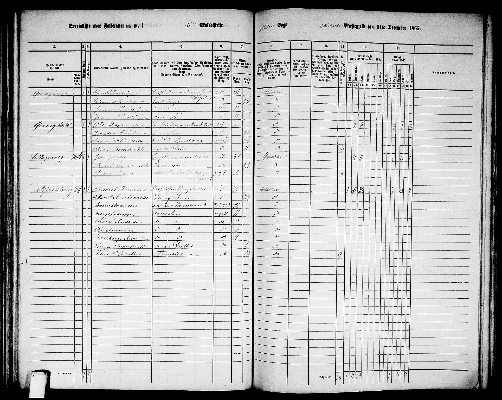 RA, 1865 census for Meldal, 1865, p. 124