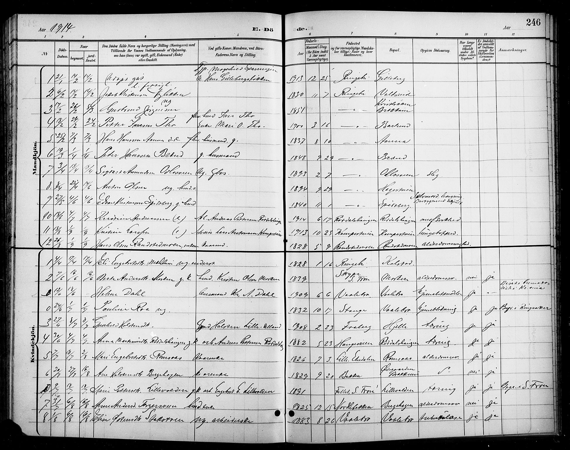 Ringebu prestekontor, AV/SAH-PREST-082/H/Ha/Hab/L0009: Parish register (copy) no. 9, 1899-1921, p. 246