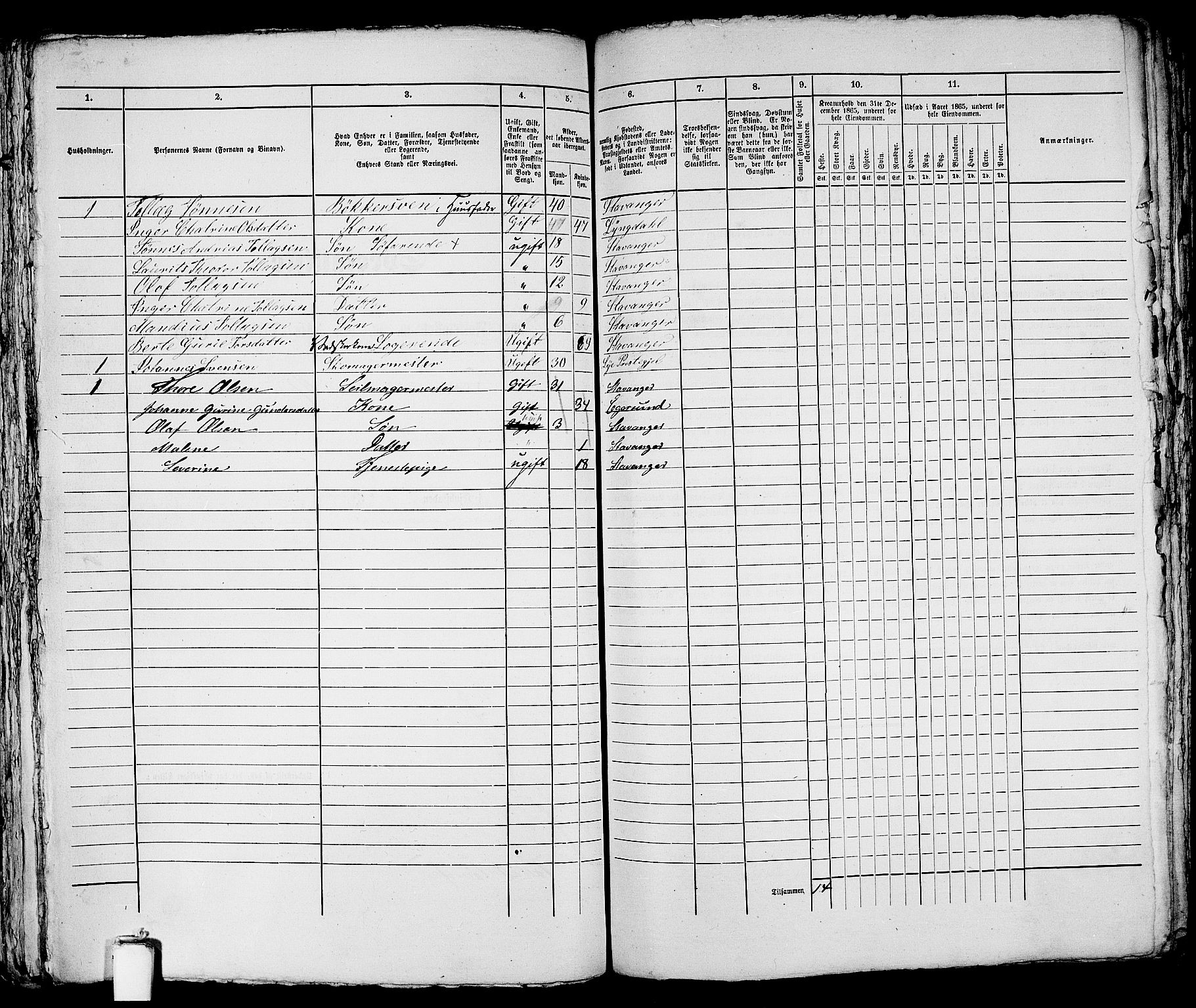 RA, 1865 census for Stavanger, 1865, p. 1289