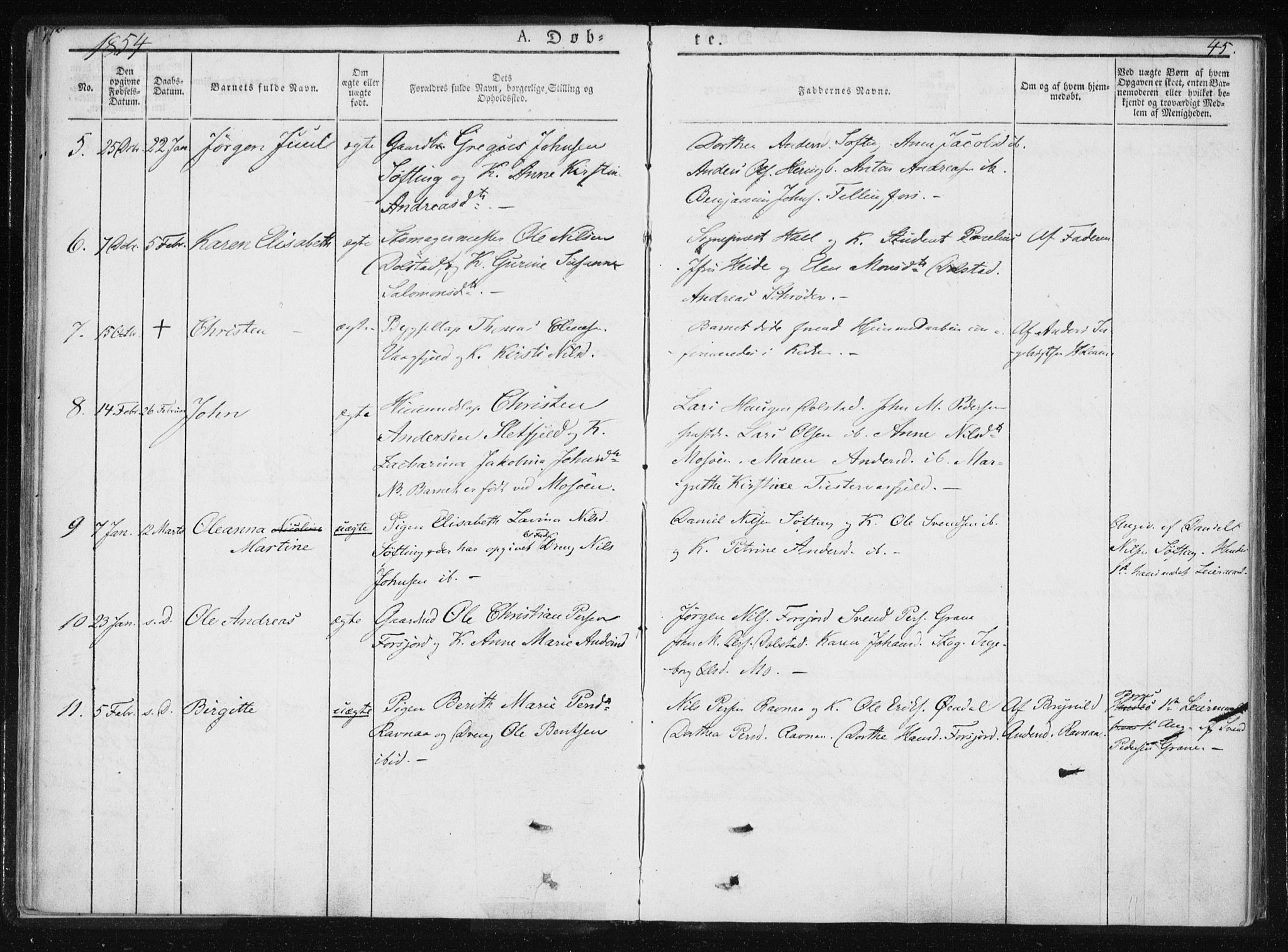 Ministerialprotokoller, klokkerbøker og fødselsregistre - Nordland, AV/SAT-A-1459/820/L0292: Parish register (official) no. 820A13, 1851-1854, p. 45