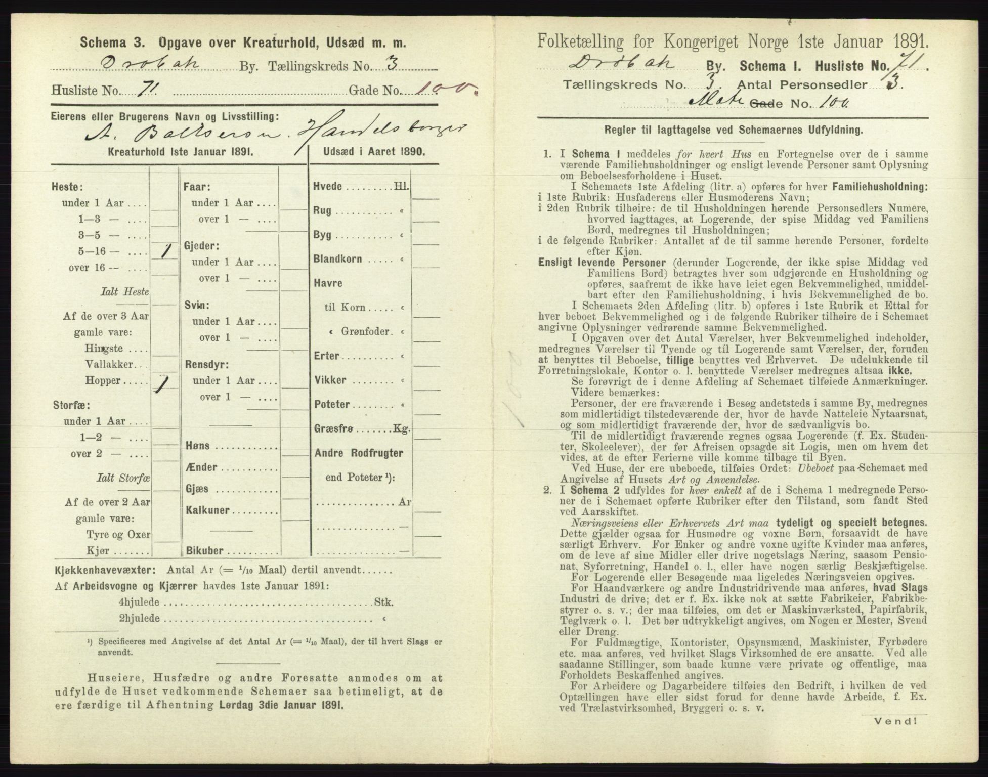 RA, 1891 census for 0203 Drøbak, 1891, p. 463