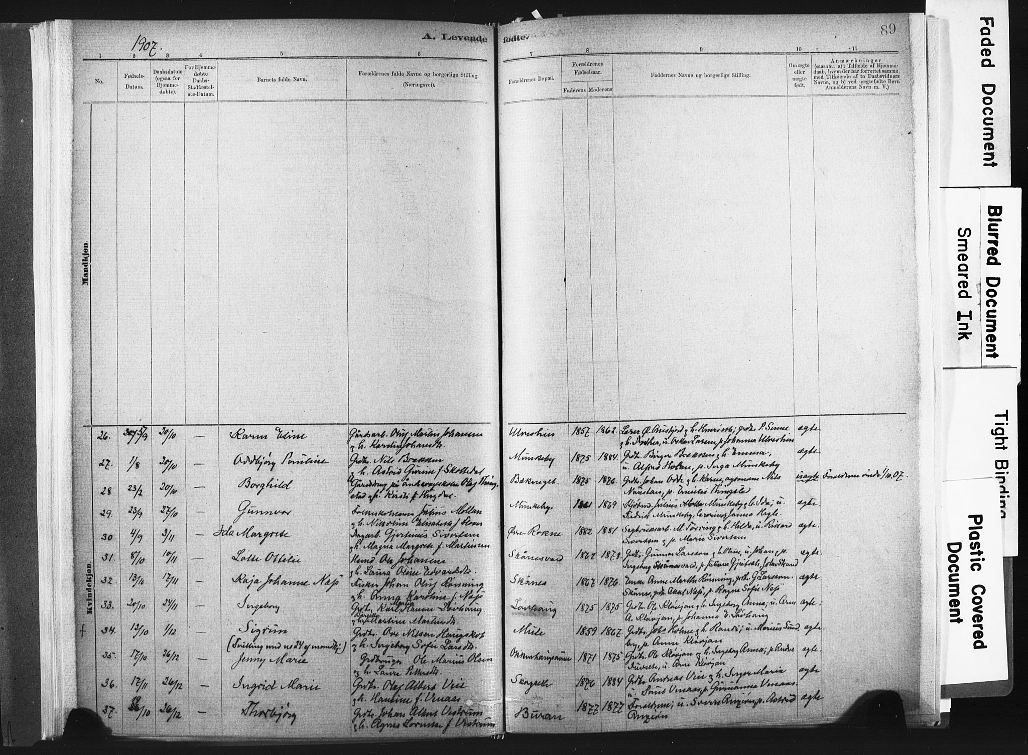 Ministerialprotokoller, klokkerbøker og fødselsregistre - Nord-Trøndelag, SAT/A-1458/721/L0207: Parish register (official) no. 721A02, 1880-1911, p. 89