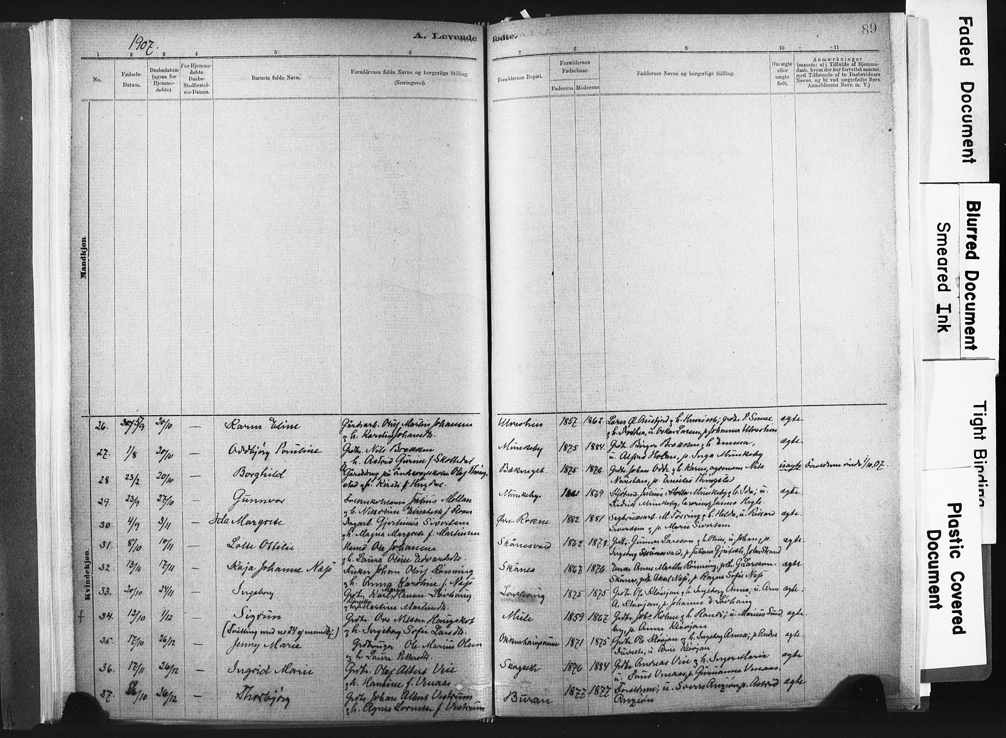 Ministerialprotokoller, klokkerbøker og fødselsregistre - Nord-Trøndelag, AV/SAT-A-1458/721/L0207: Parish register (official) no. 721A02, 1880-1911, p. 89