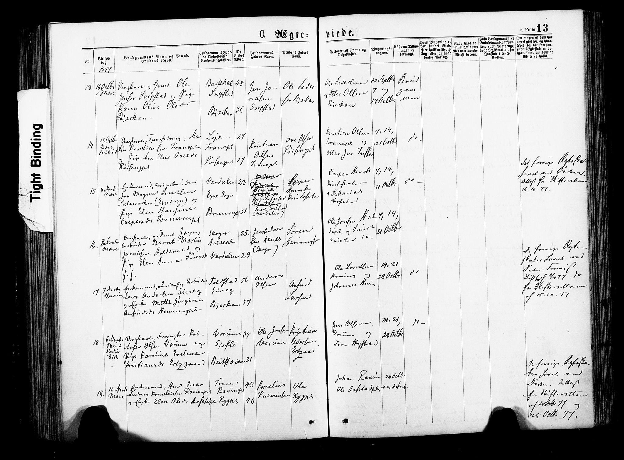 Ministerialprotokoller, klokkerbøker og fødselsregistre - Nord-Trøndelag, AV/SAT-A-1458/735/L0348: Parish register (official) no. 735A09 /1, 1873-1883, p. 13