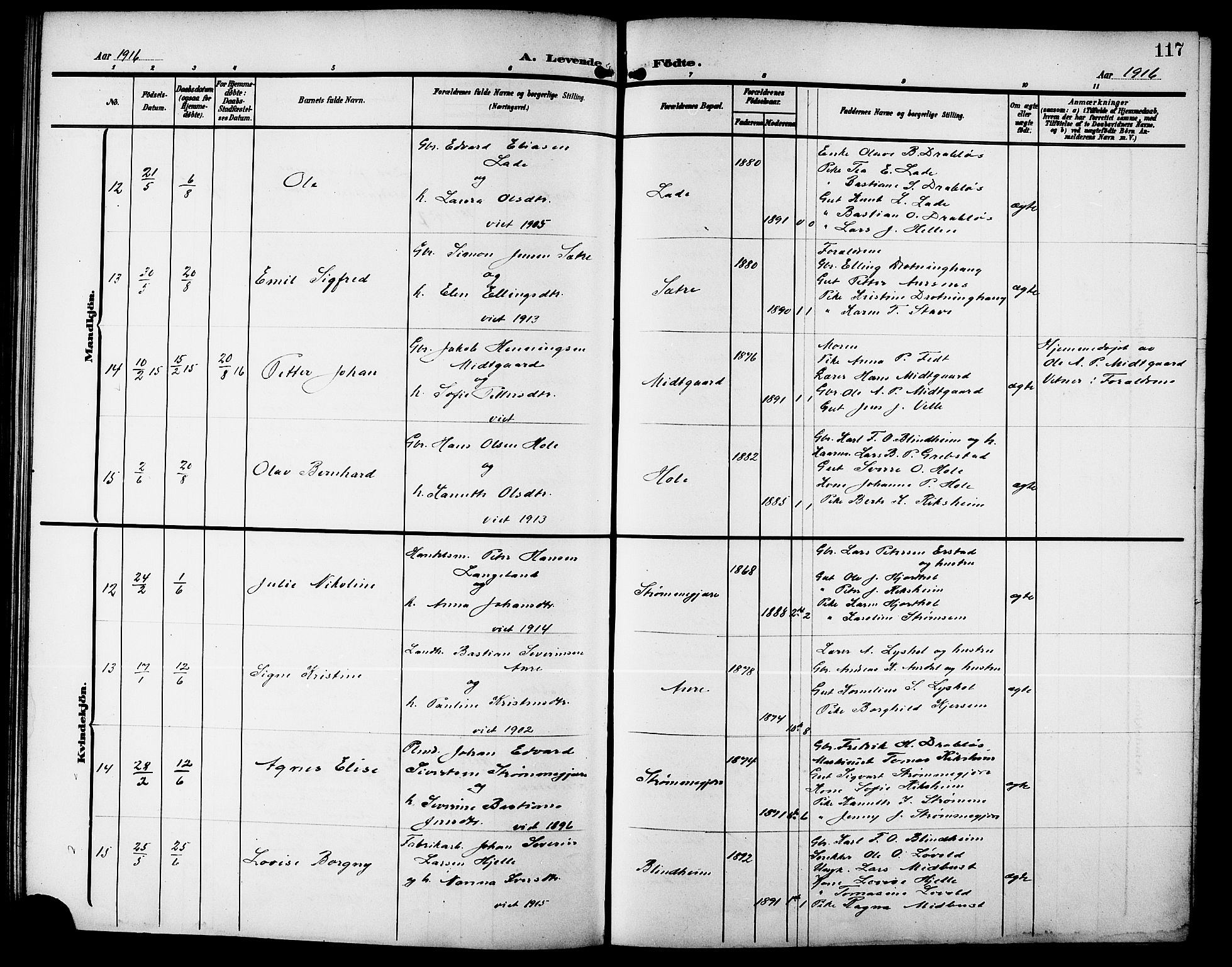 Ministerialprotokoller, klokkerbøker og fødselsregistre - Møre og Romsdal, AV/SAT-A-1454/523/L0341: Parish register (copy) no. 523C04, 1903-1916, p. 117