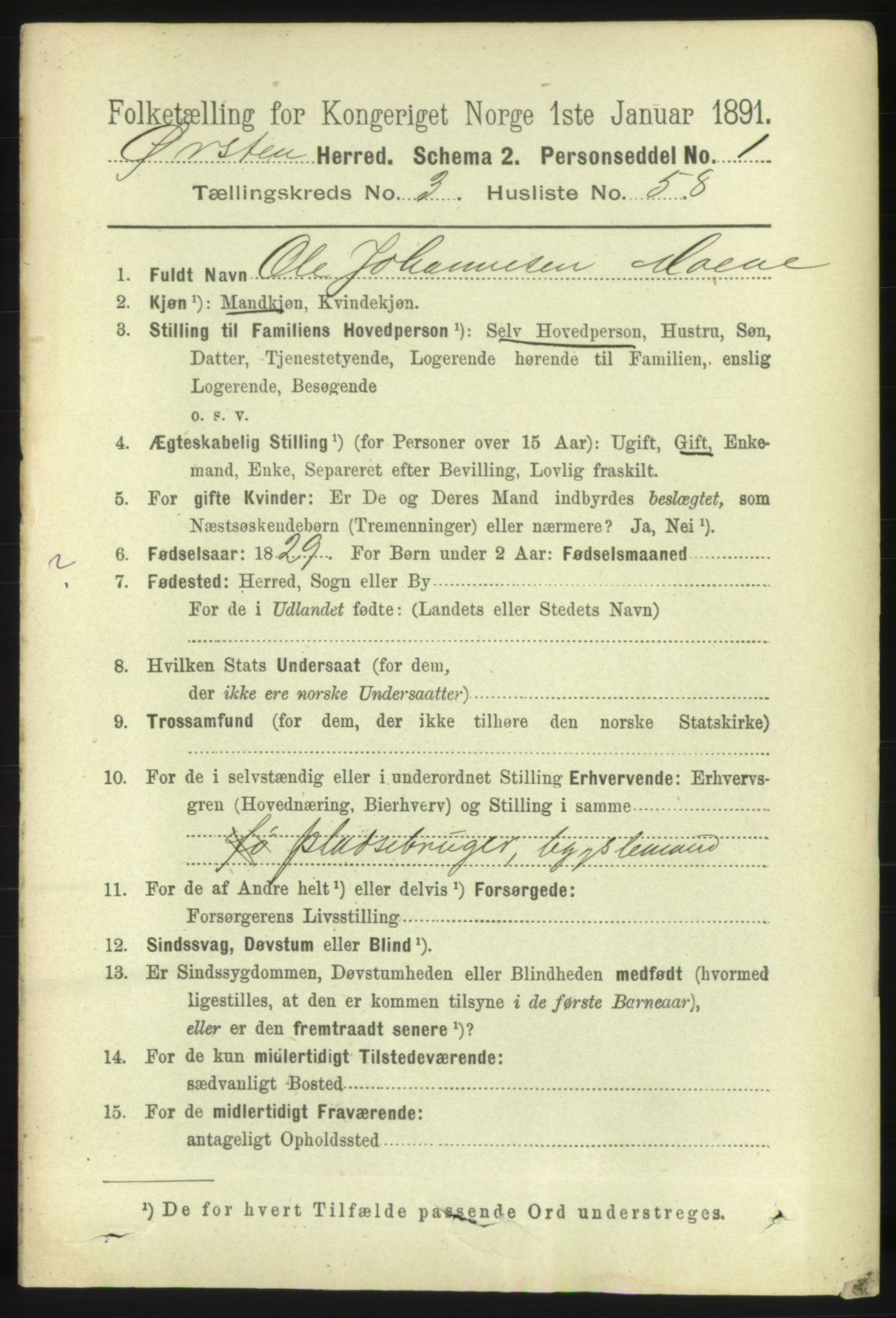 RA, 1891 census for 1520 Ørsta, 1891, p. 1581