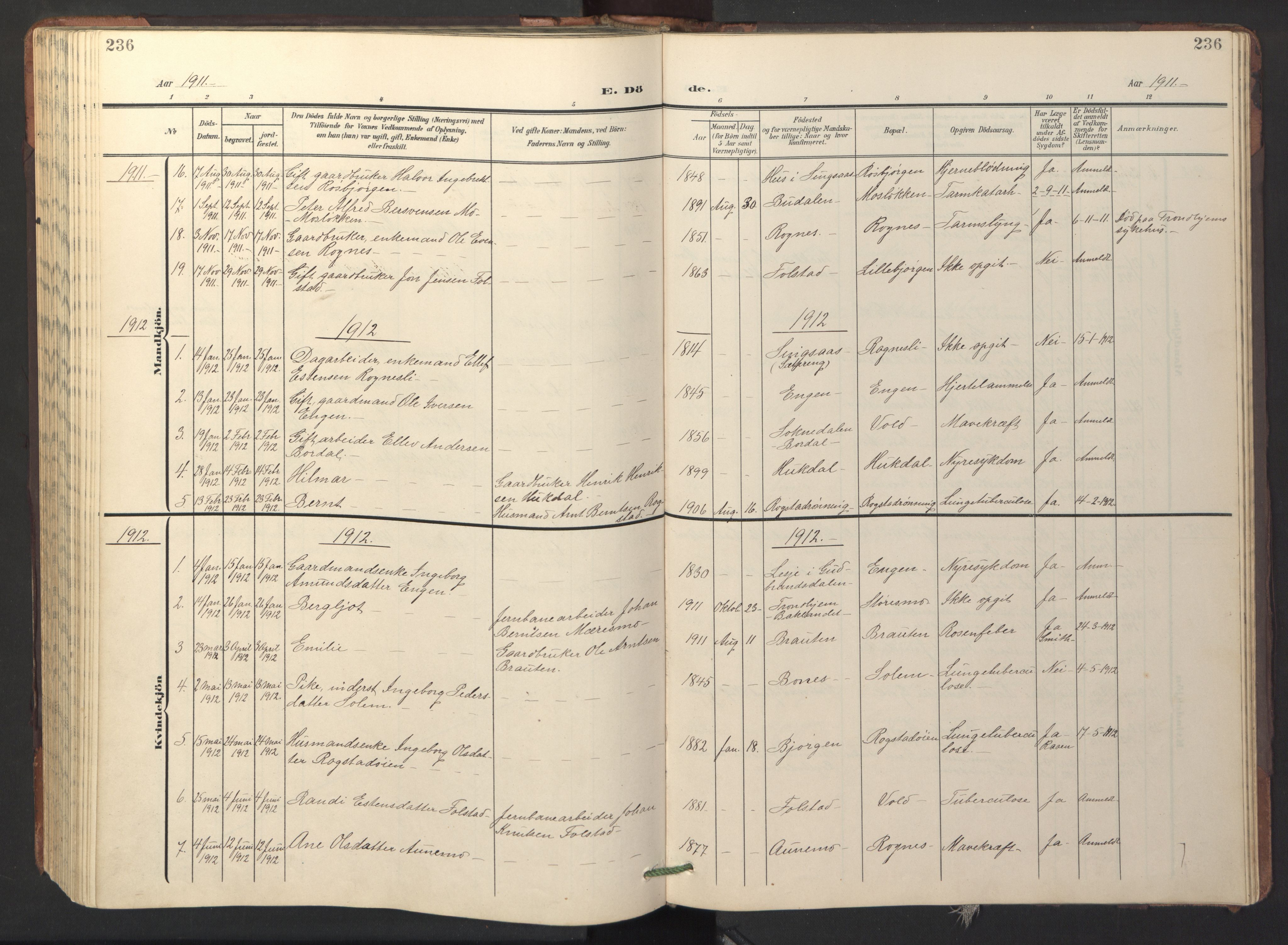 Ministerialprotokoller, klokkerbøker og fødselsregistre - Sør-Trøndelag, SAT/A-1456/687/L1019: Parish register (copy) no. 687C03, 1904-1931, p. 236