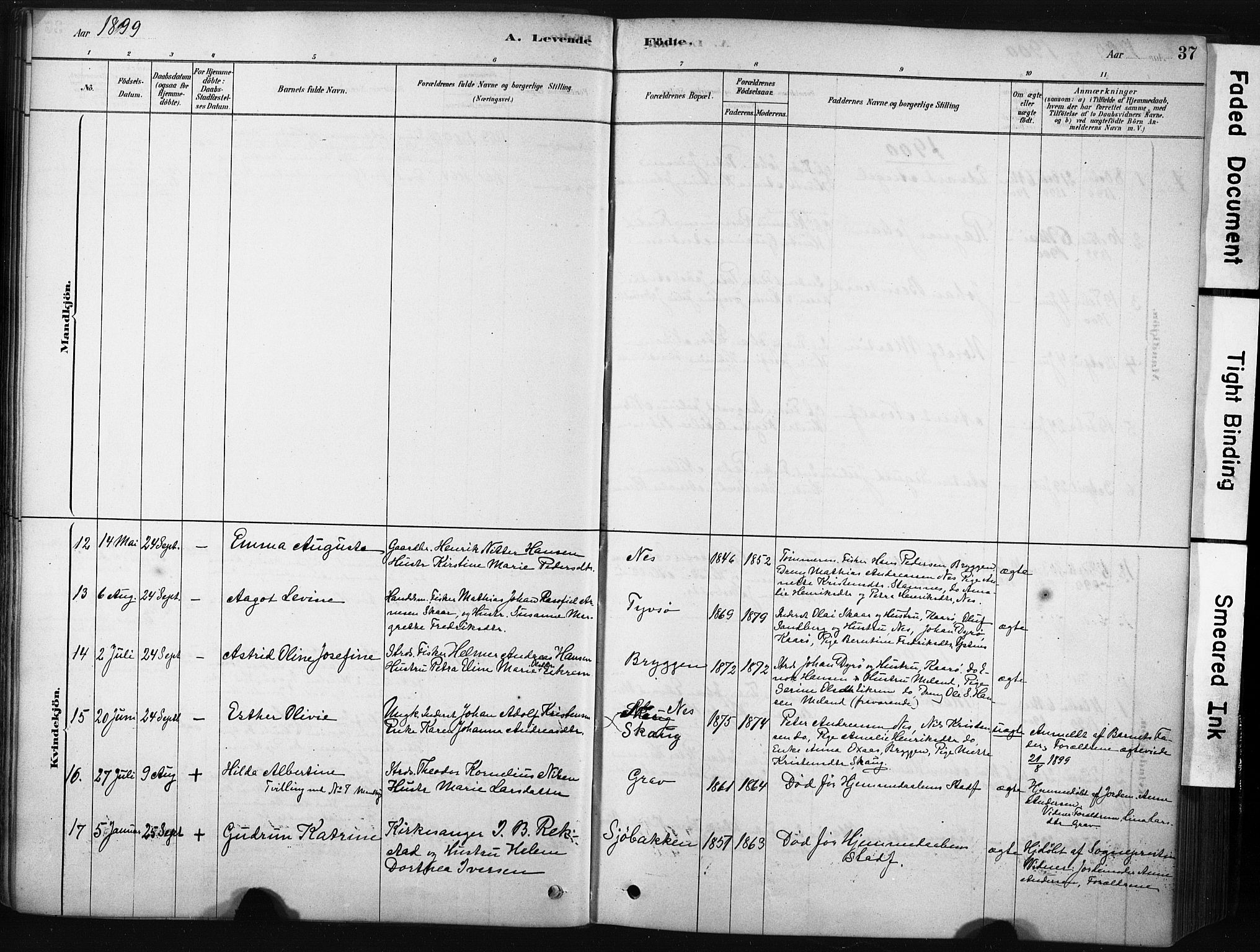 Ministerialprotokoller, klokkerbøker og fødselsregistre - Nordland, AV/SAT-A-1459/808/L0128: Parish register (official) no. 808A01, 1880-1902, p. 37