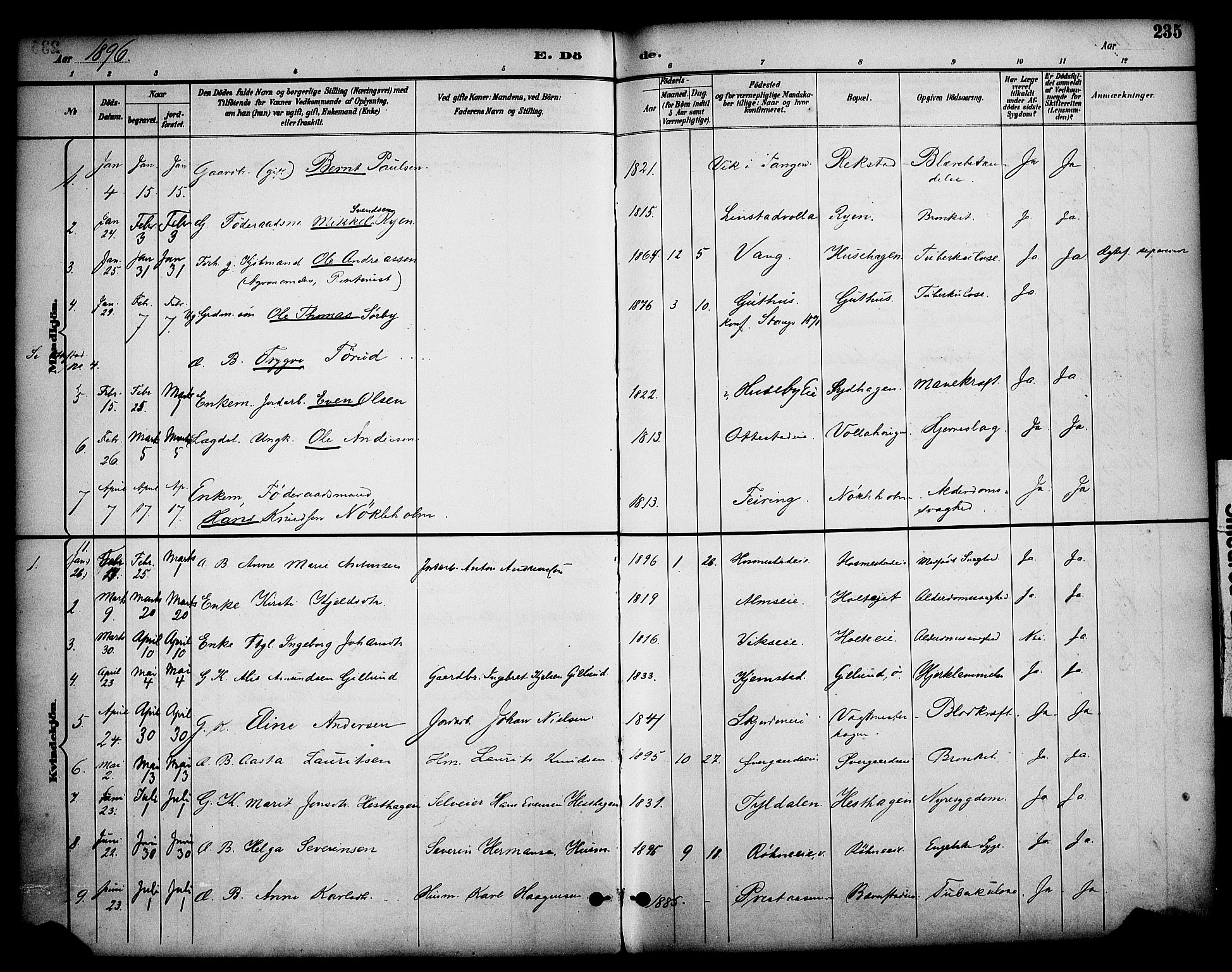 Stange prestekontor, SAH/PREST-002/K/L0020: Parish register (official) no. 20, 1894-1905, p. 235