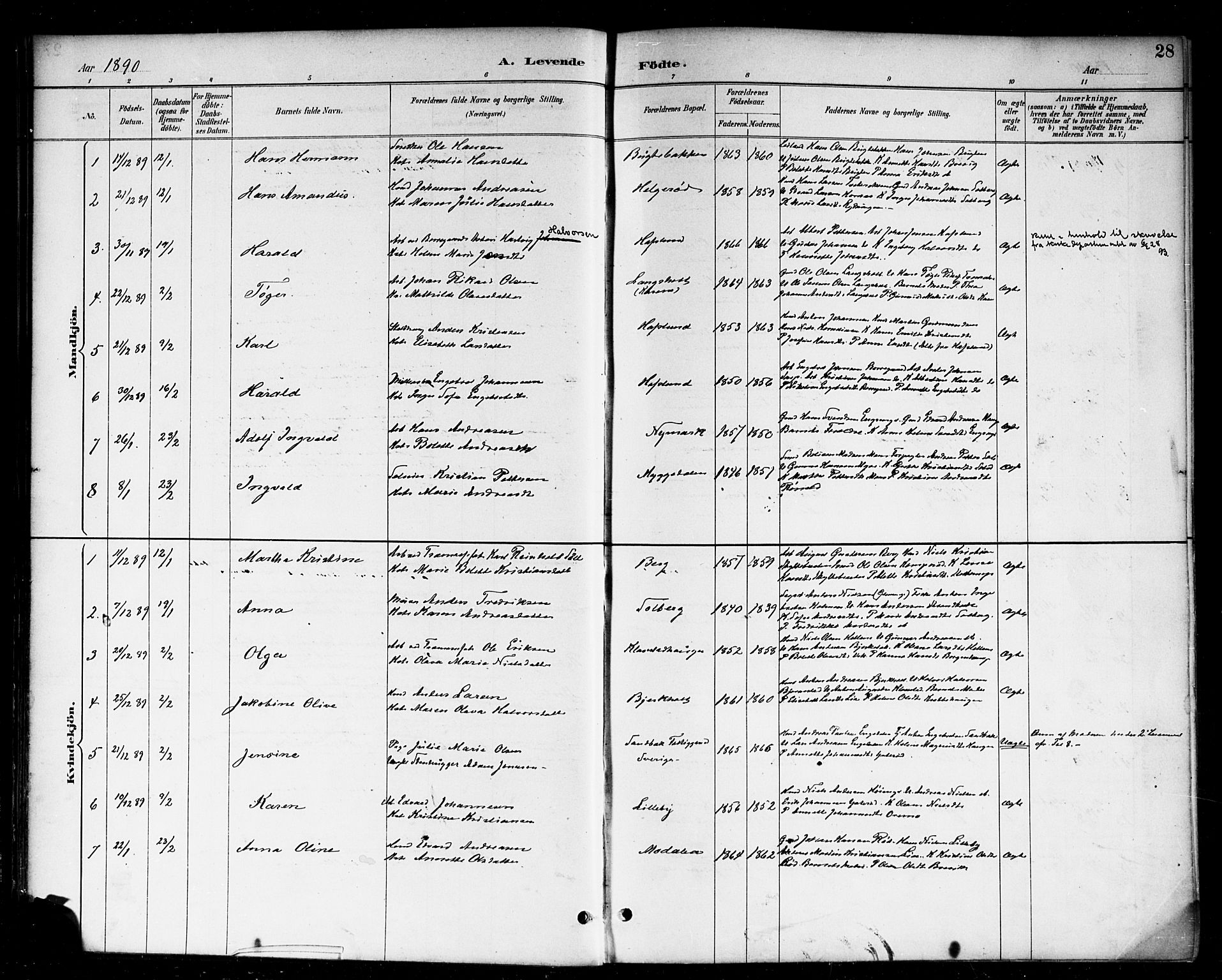 Skjeberg prestekontor Kirkebøker, AV/SAO-A-10923/F/Fa/L0009: Parish register (official) no. I 9, 1886-1897, p. 28