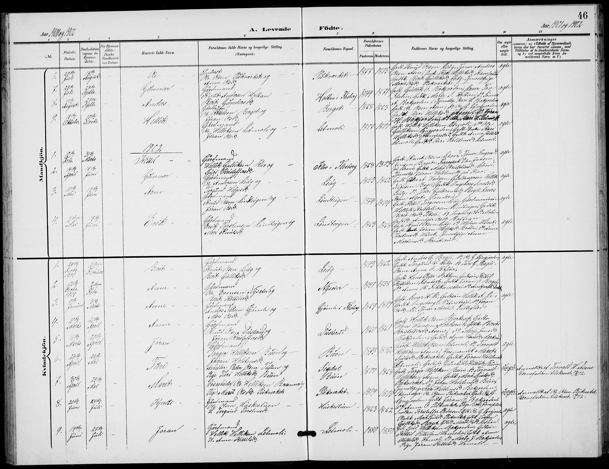 Flesberg kirkebøker, AV/SAKO-A-18/G/Ga/L0005: Parish register (copy) no. I 5, 1899-1908, p. 46