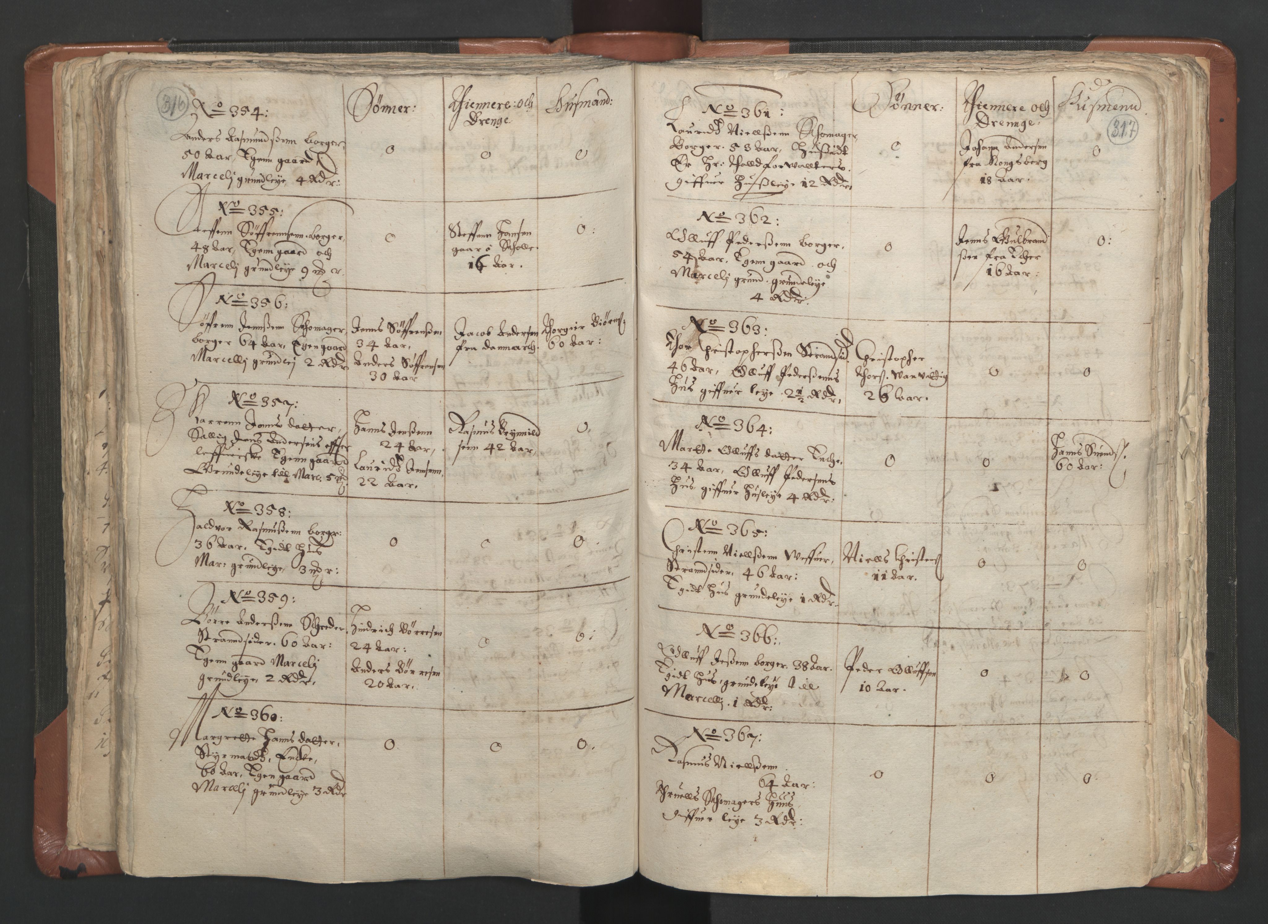 RA, Vicar's Census 1664-1666, no. 9: Bragernes deanery, 1664-1666, p. 316-317