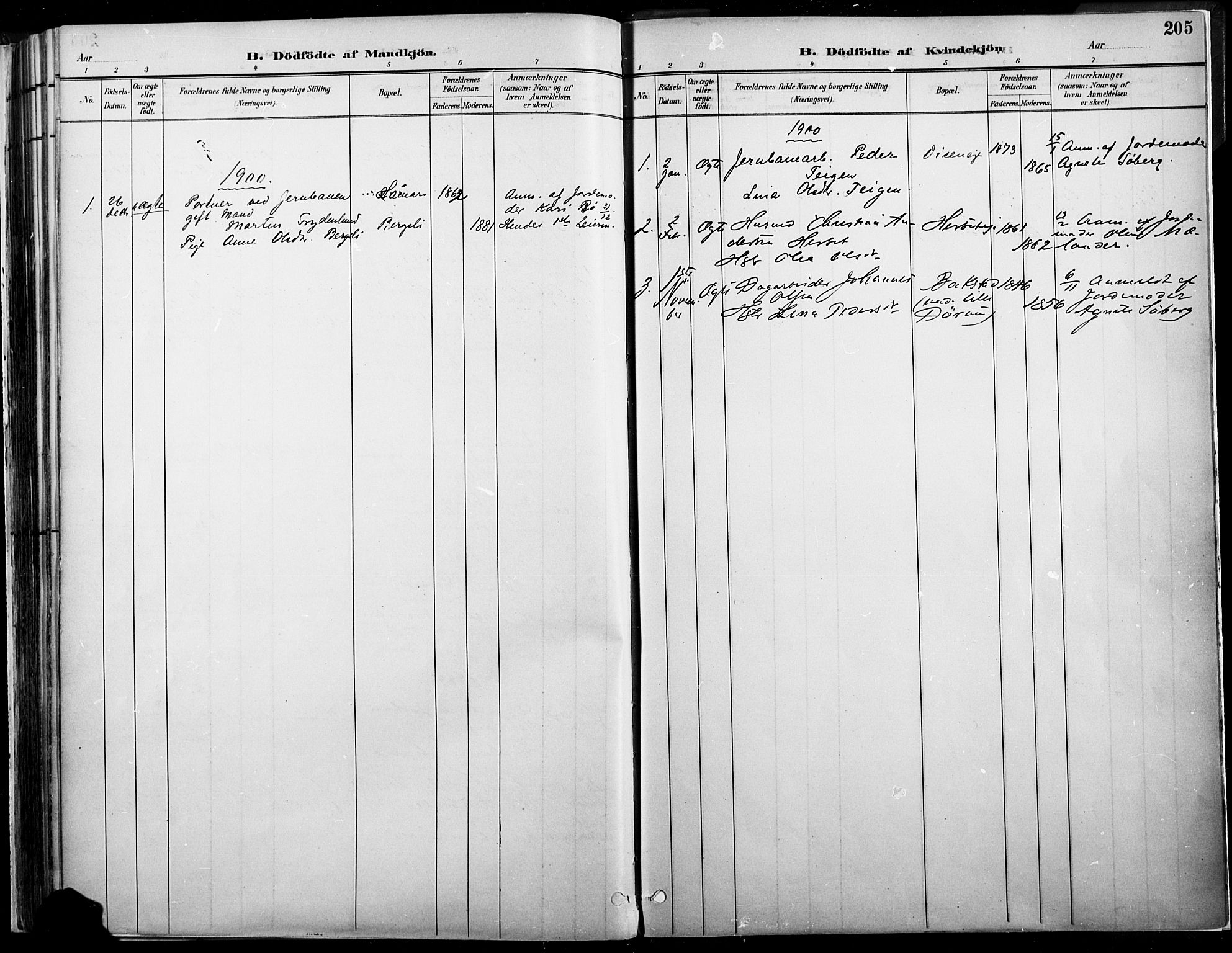 Vang prestekontor, Hedmark, SAH/PREST-008/H/Ha/Haa/L0019A: Parish register (official) no. 19, 1886-1900, p. 205