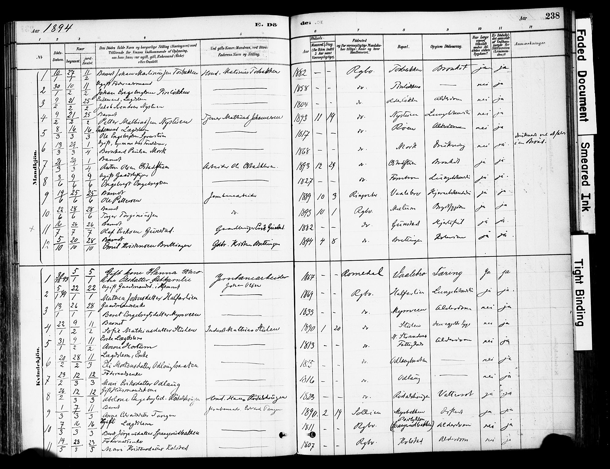 Ringebu prestekontor, SAH/PREST-082/H/Ha/Haa/L0008: Parish register (official) no. 8, 1878-1898, p. 238