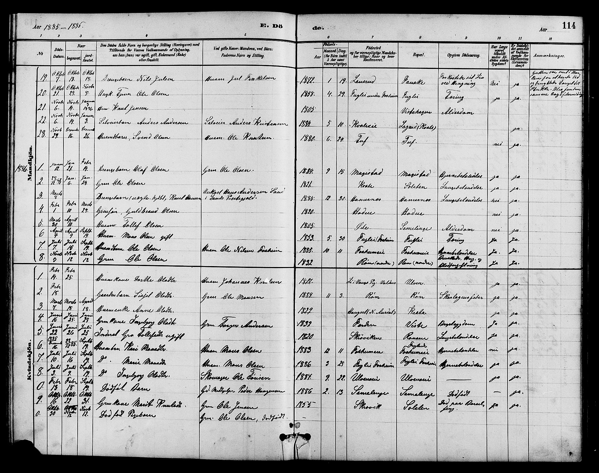 Vestre Slidre prestekontor, SAH/PREST-136/H/Ha/Hab/L0005: Parish register (copy) no. 5, 1881-1913, p. 114