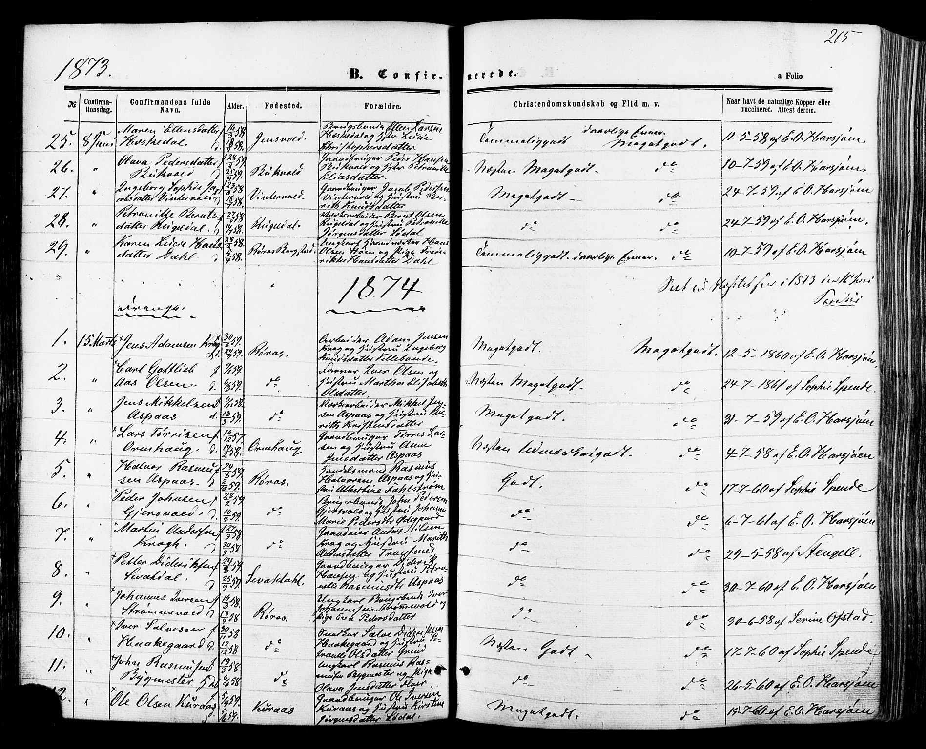 Ministerialprotokoller, klokkerbøker og fødselsregistre - Sør-Trøndelag, SAT/A-1456/681/L0932: Parish register (official) no. 681A10, 1860-1878, p. 215