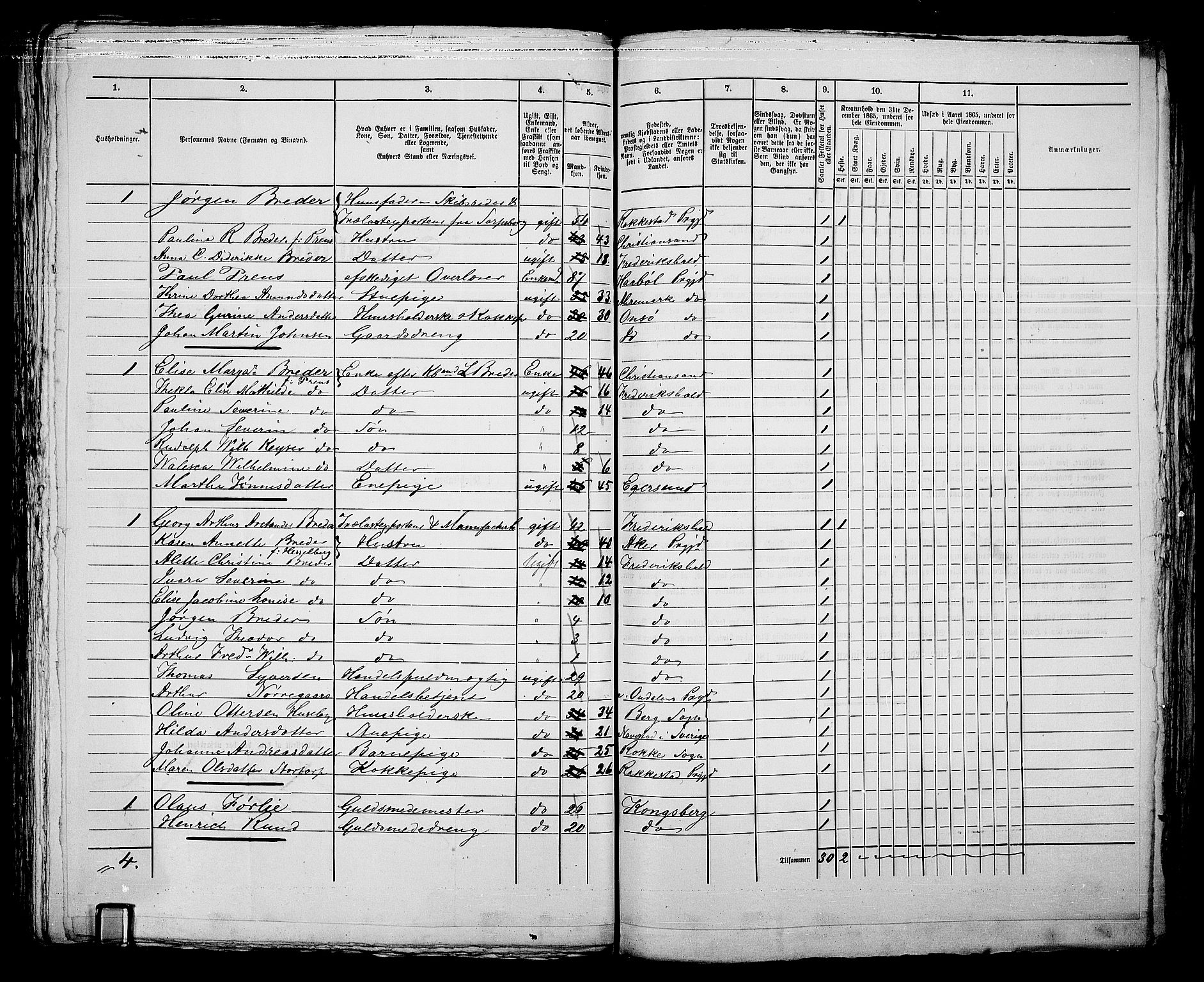 RA, 1865 census for Fredrikshald, 1865, p. 300