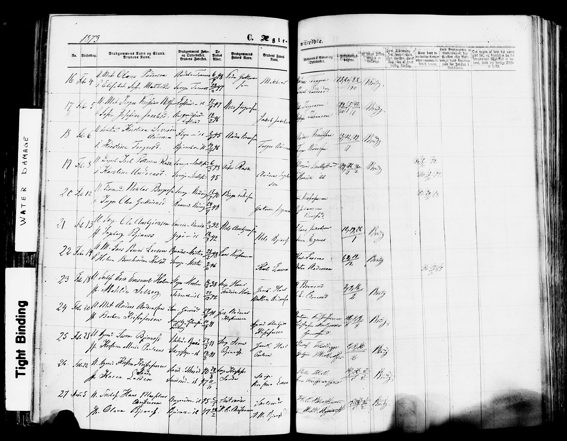 Nøtterøy kirkebøker, AV/SAKO-A-354/F/Fa/L0007: Parish register (official) no. I 7, 1865-1877, p. 296