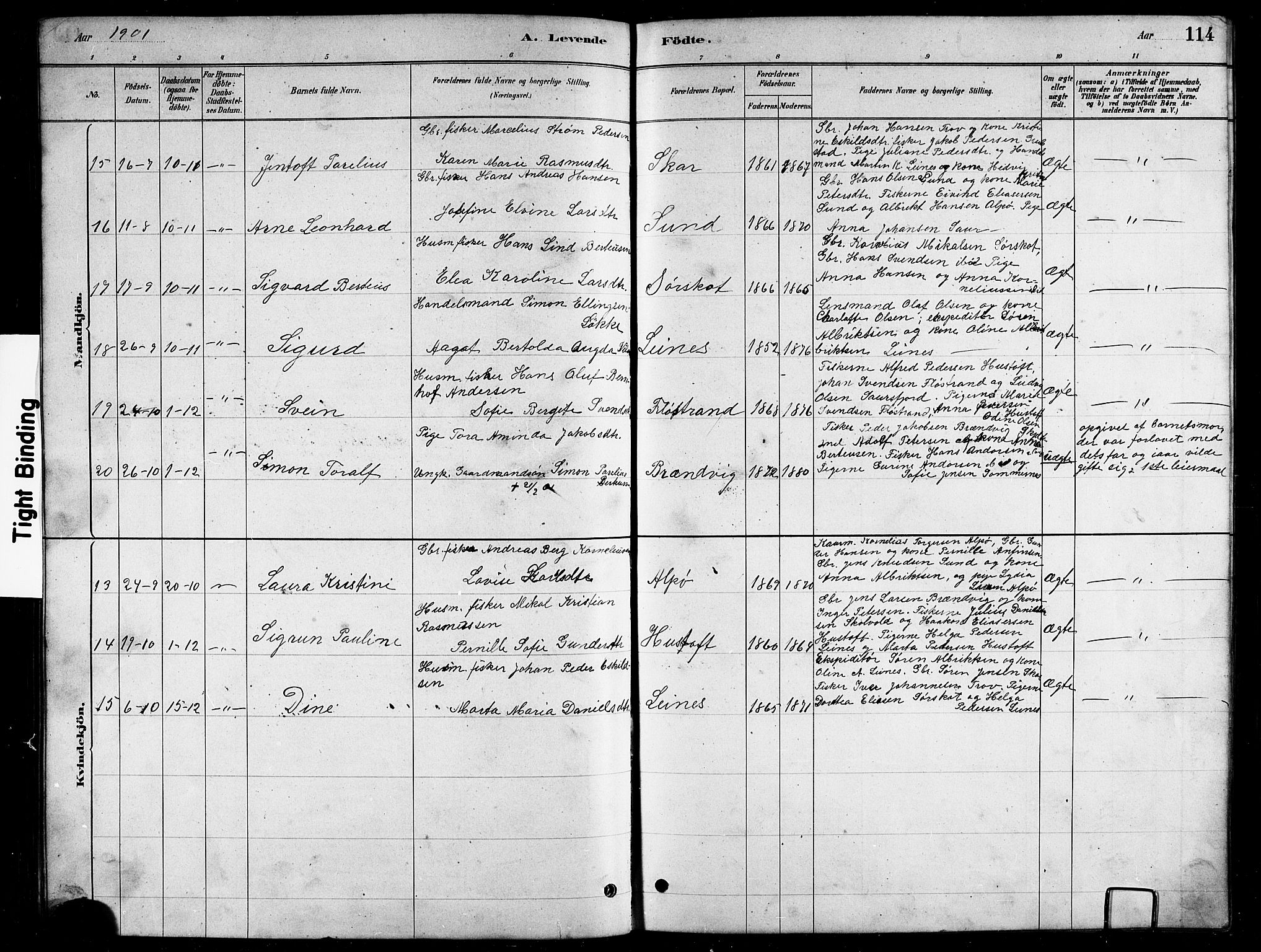 Ministerialprotokoller, klokkerbøker og fødselsregistre - Nordland, AV/SAT-A-1459/857/L0828: Parish register (copy) no. 857C03, 1879-1908, p. 114