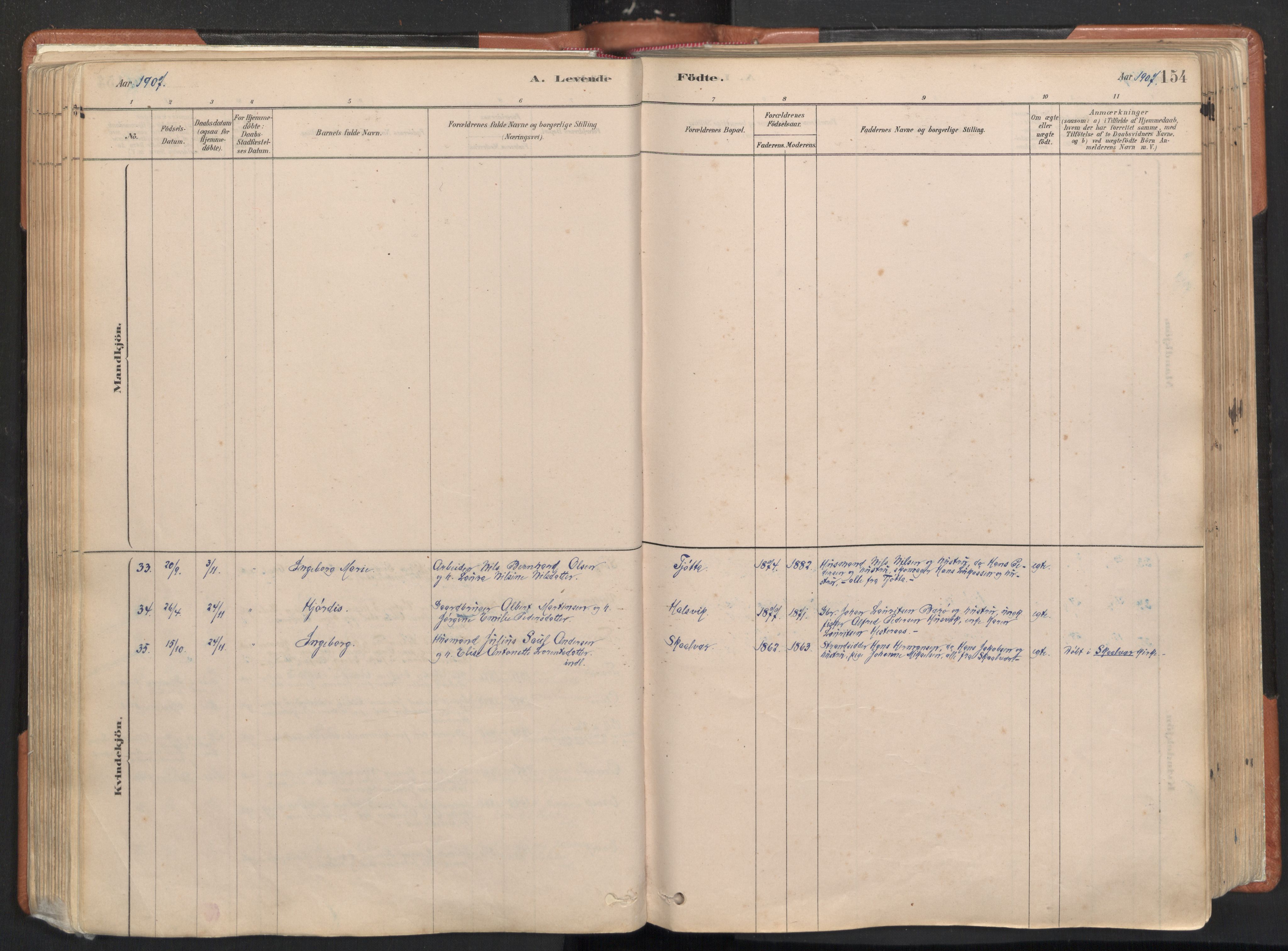 Ministerialprotokoller, klokkerbøker og fødselsregistre - Nordland, AV/SAT-A-1459/817/L0264: Parish register (official) no. 817A04, 1878-1907, p. 154