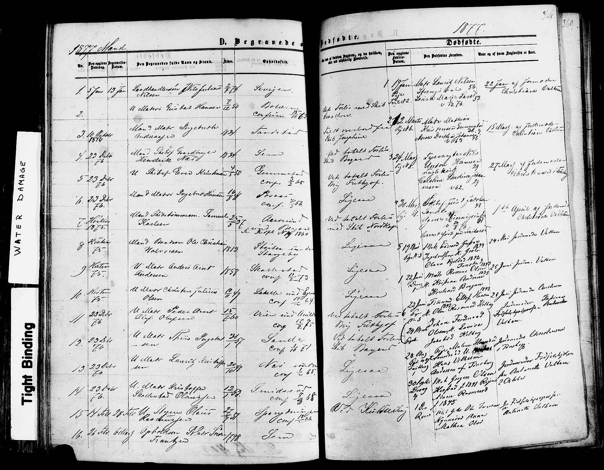 Nøtterøy kirkebøker, AV/SAKO-A-354/F/Fa/L0007: Parish register (official) no. I 7, 1865-1877, p. 366