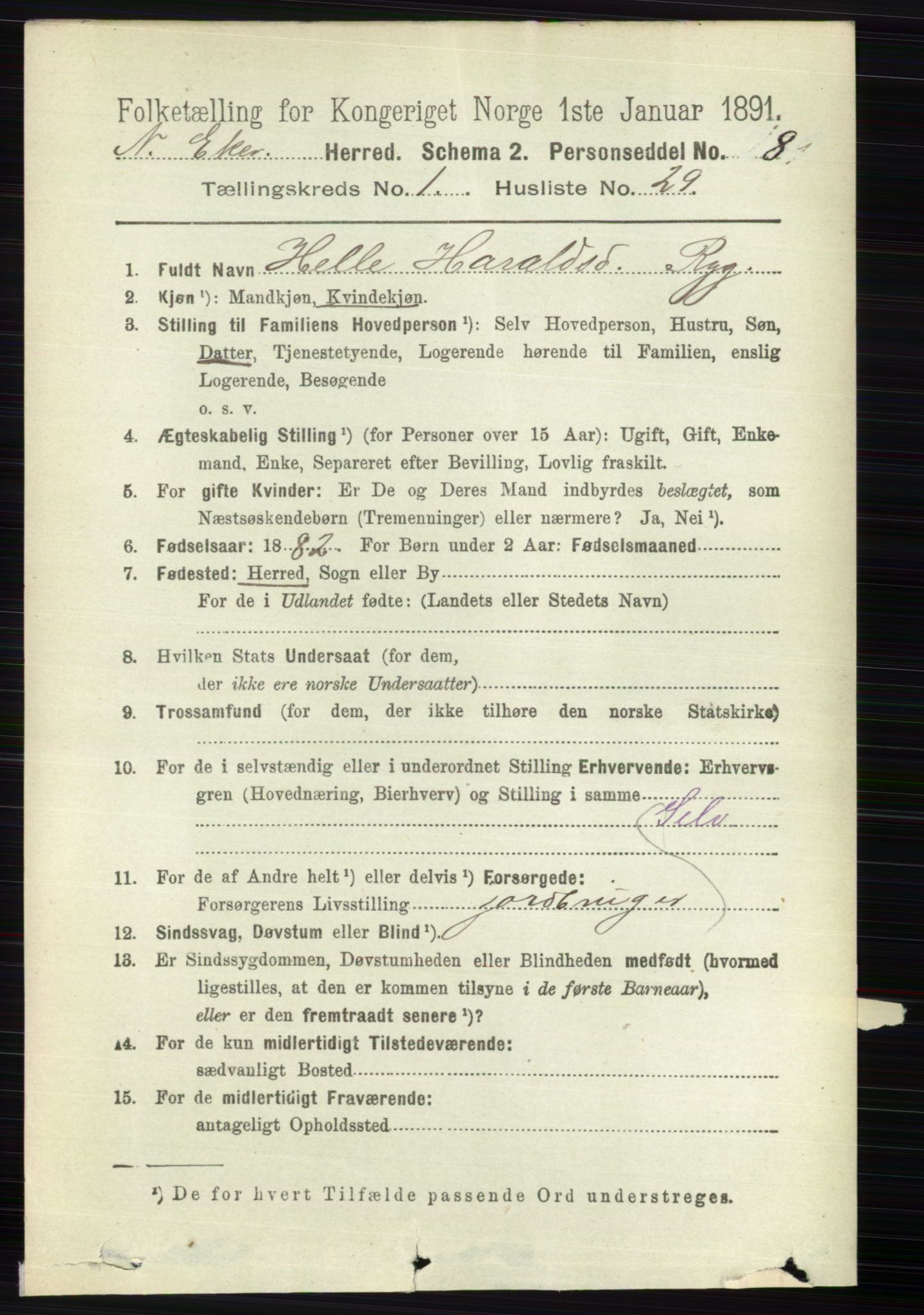 RA, 1891 census for 0625 Nedre Eiker, 1891, p. 239
