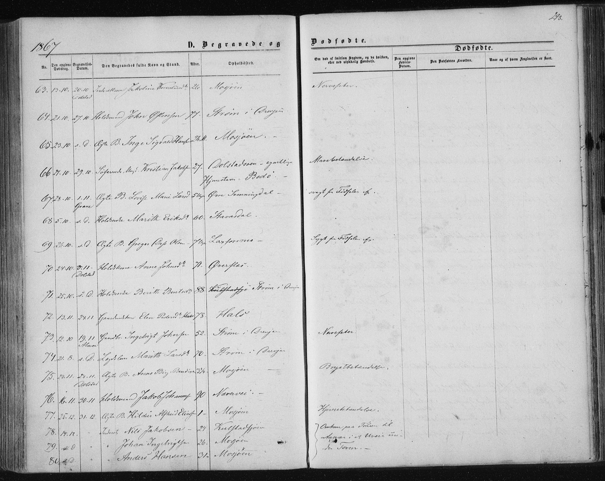 Ministerialprotokoller, klokkerbøker og fødselsregistre - Nordland, SAT/A-1459/820/L0294: Parish register (official) no. 820A15, 1866-1879, p. 293