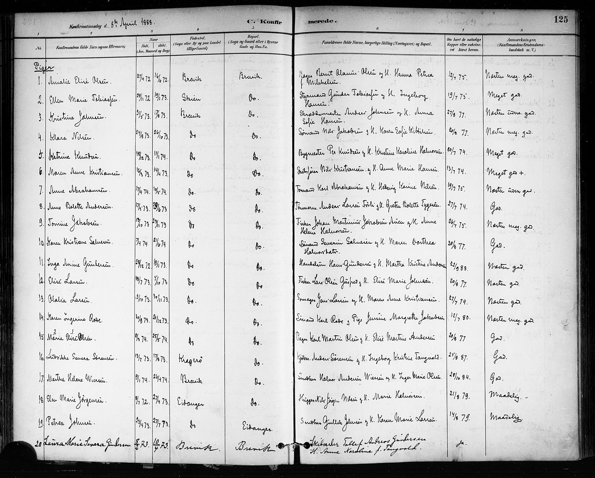 Brevik kirkebøker, SAKO/A-255/F/Fa/L0007: Parish register (official) no. 7, 1882-1900, p. 125