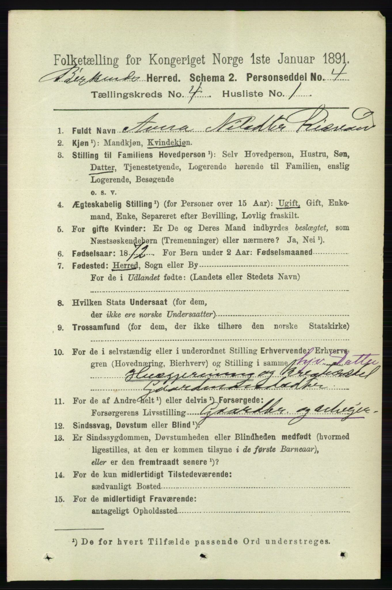 RA, 1891 Census for 0928 Birkenes, 1891, p. 1251