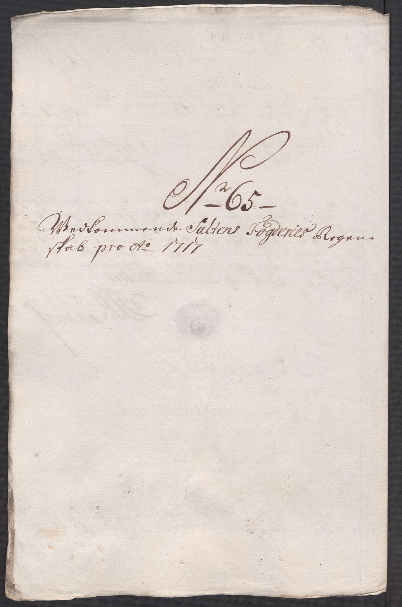 Rentekammeret inntil 1814, Reviderte regnskaper, Fogderegnskap, AV/RA-EA-4092/R66/L4587: Fogderegnskap Salten, 1717, p. 350