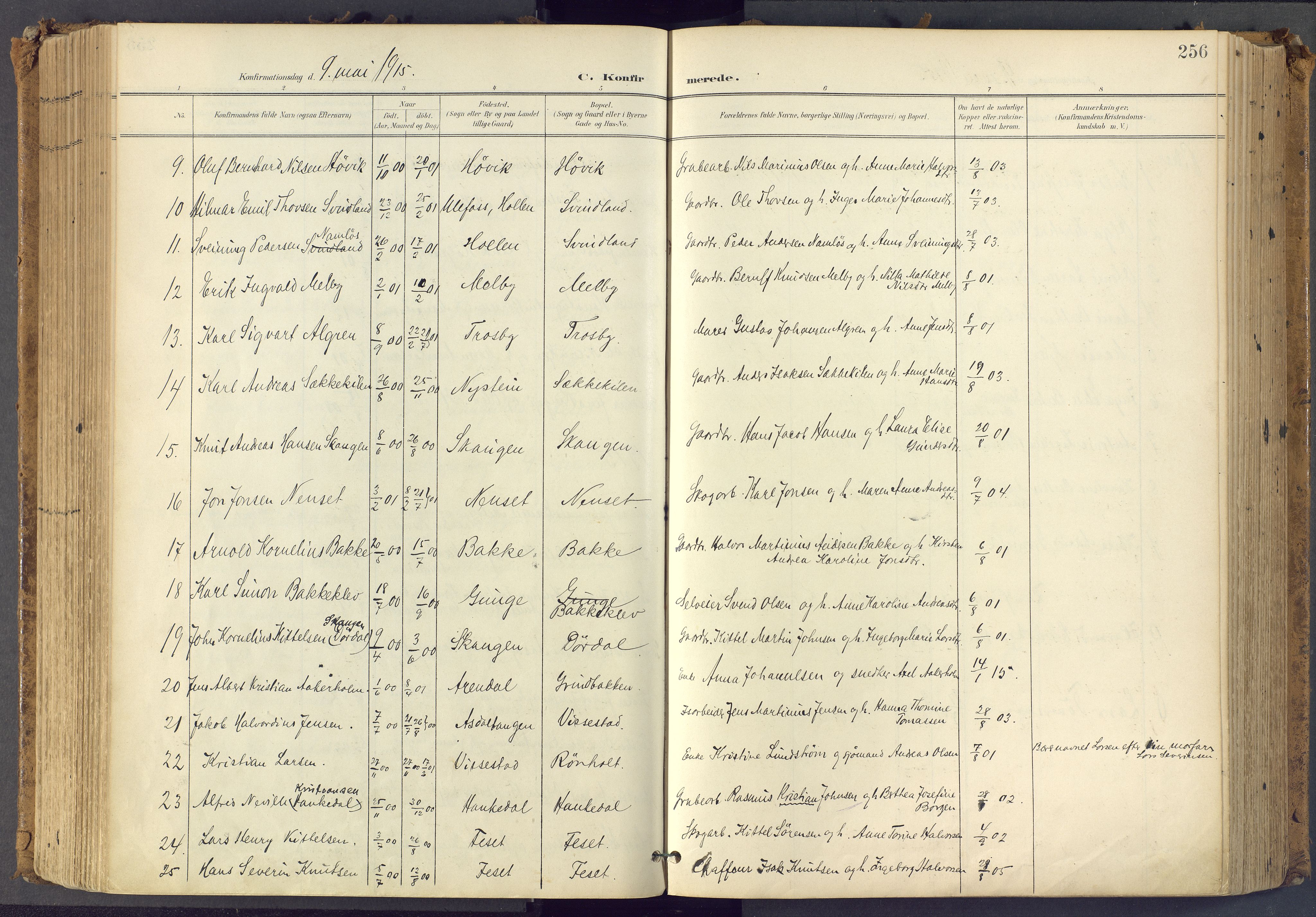 Bamble kirkebøker, SAKO/A-253/F/Fa/L0009: Parish register (official) no. I 9, 1901-1917, p. 256