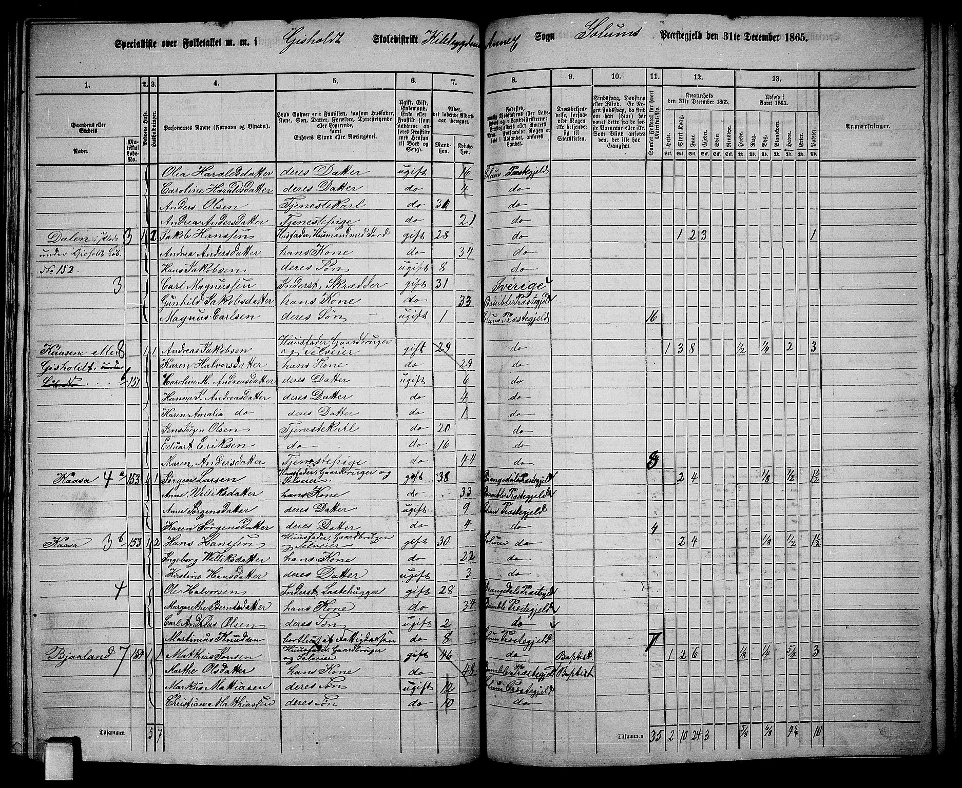 RA, 1865 census for Solum, 1865, p. 154