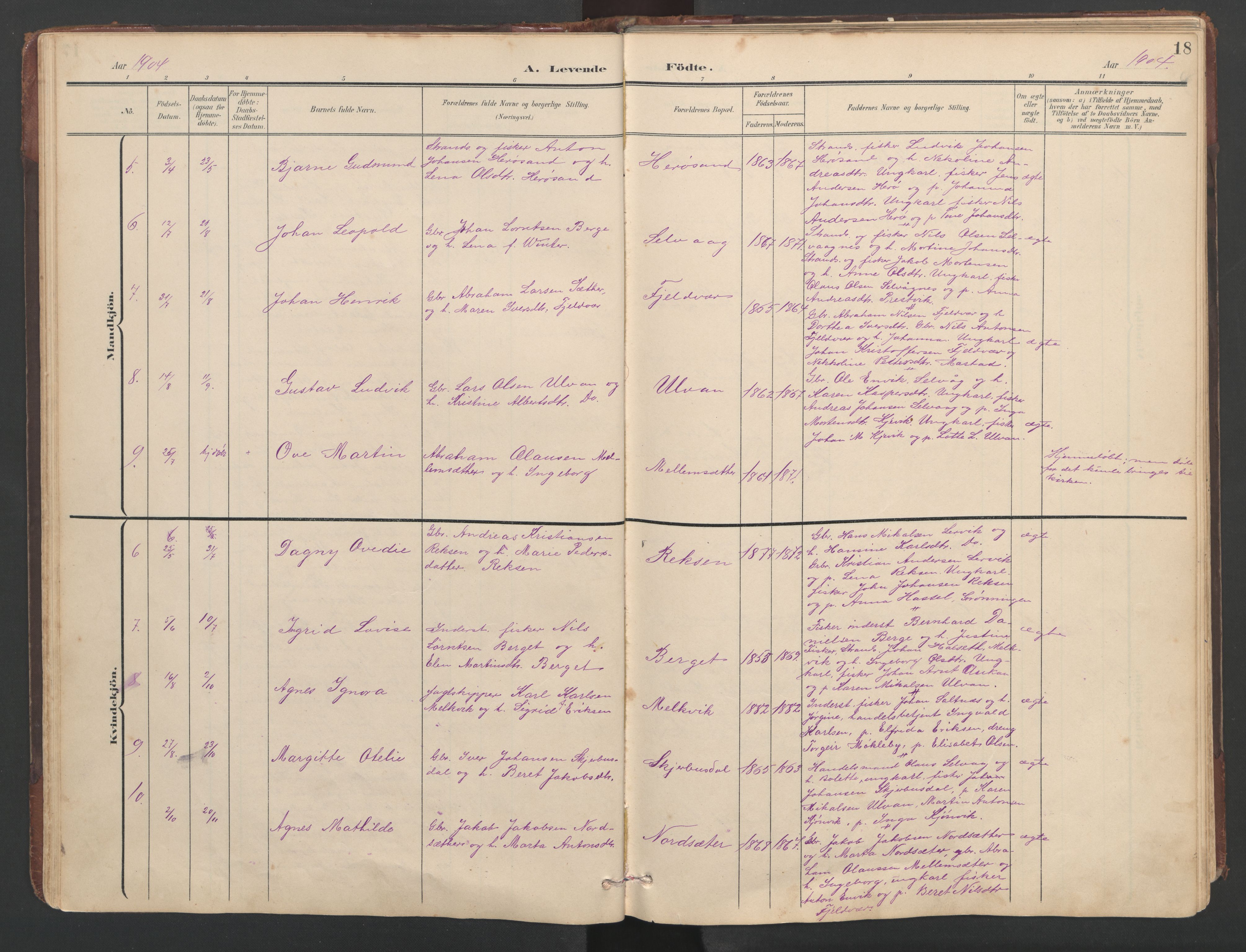 Ministerialprotokoller, klokkerbøker og fødselsregistre - Sør-Trøndelag, SAT/A-1456/638/L0571: Parish register (copy) no. 638C03, 1901-1930, p. 18