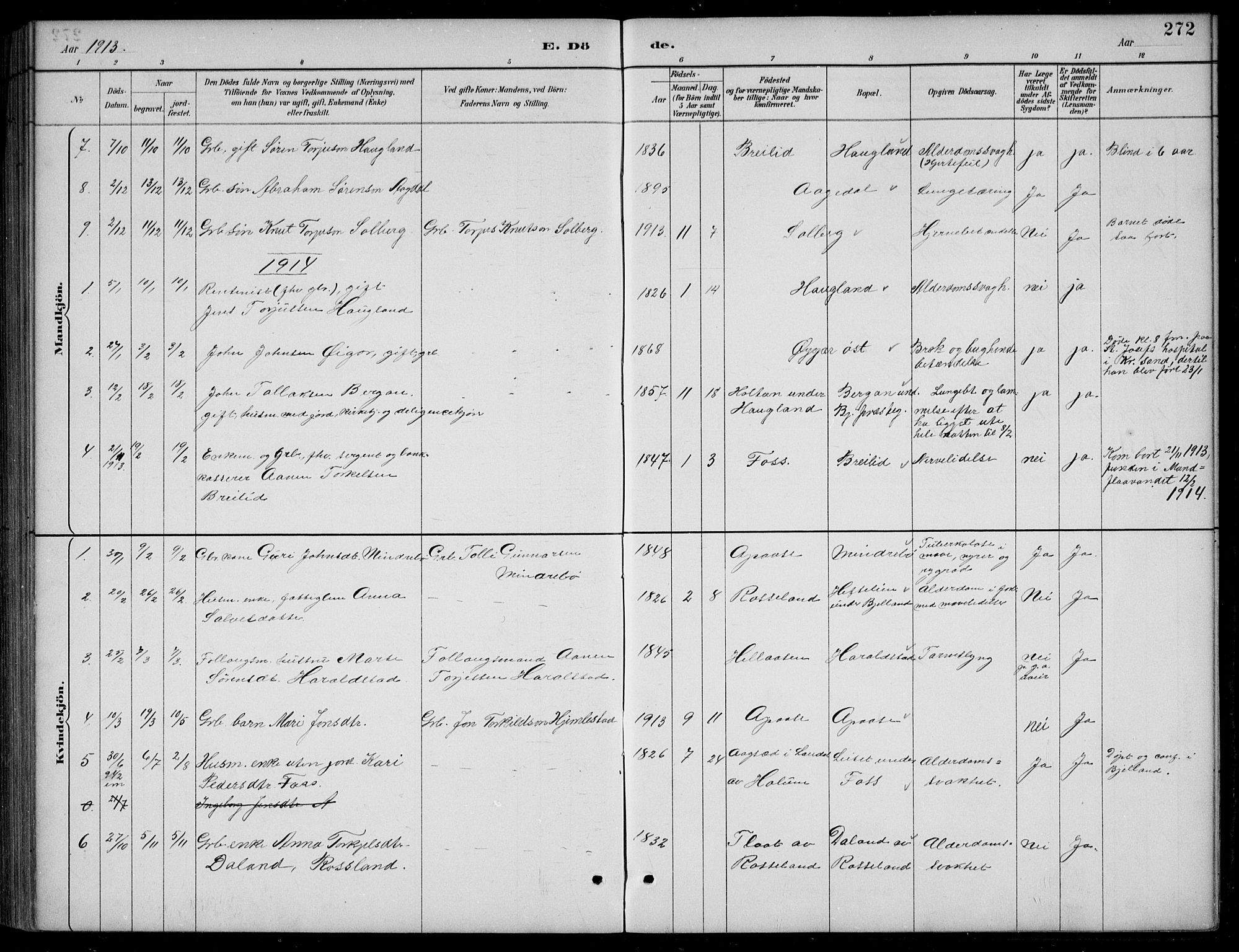 Bjelland sokneprestkontor, AV/SAK-1111-0005/F/Fb/Fba/L0005: Parish register (copy) no. B 5, 1887-1923, p. 272