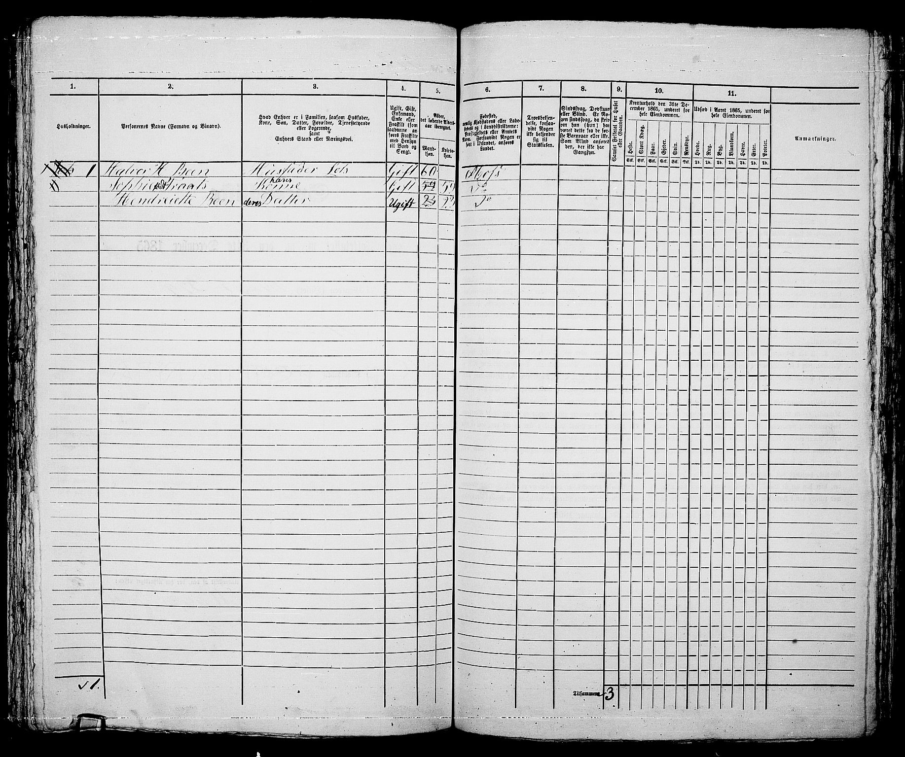 RA, 1865 census for Moss/Moss, 1865, p. 625