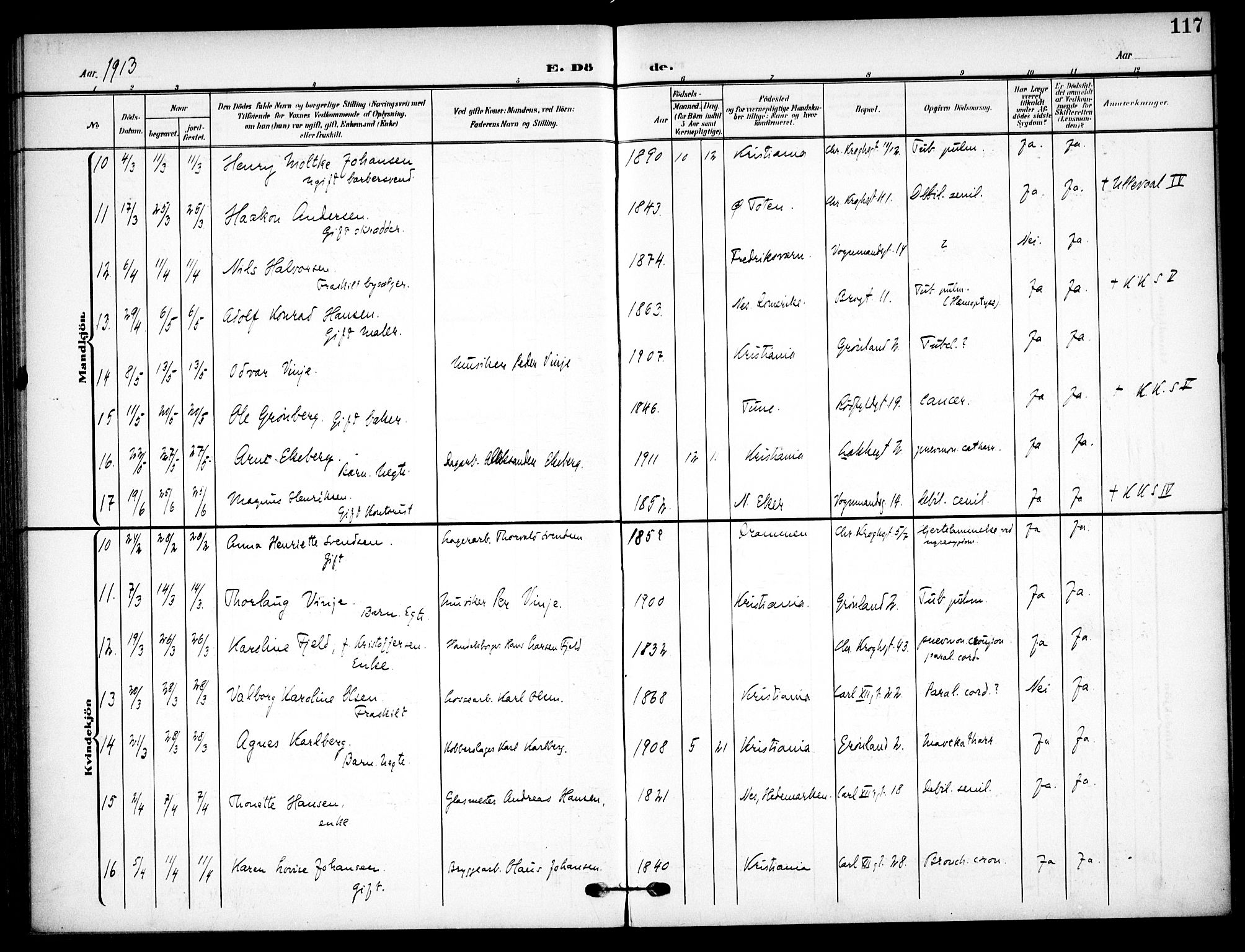 Vaterland prestekontor Kirkebøker, AV/SAO-A-10880/F/Fa/L0002: Parish register (official) no. 2, 1907-1921, p. 117