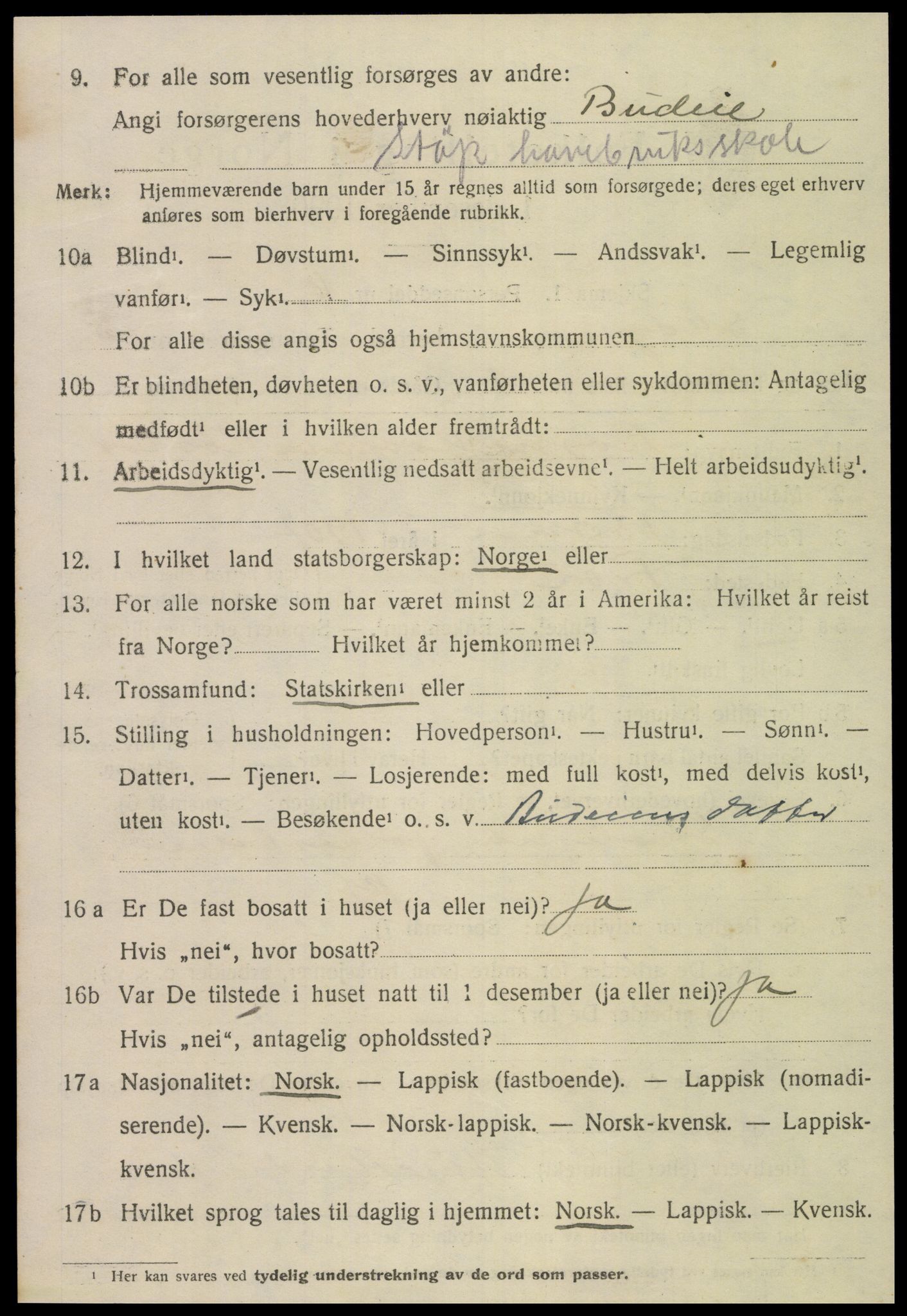 SAT, 1920 census for Skogn, 1920, p. 1294