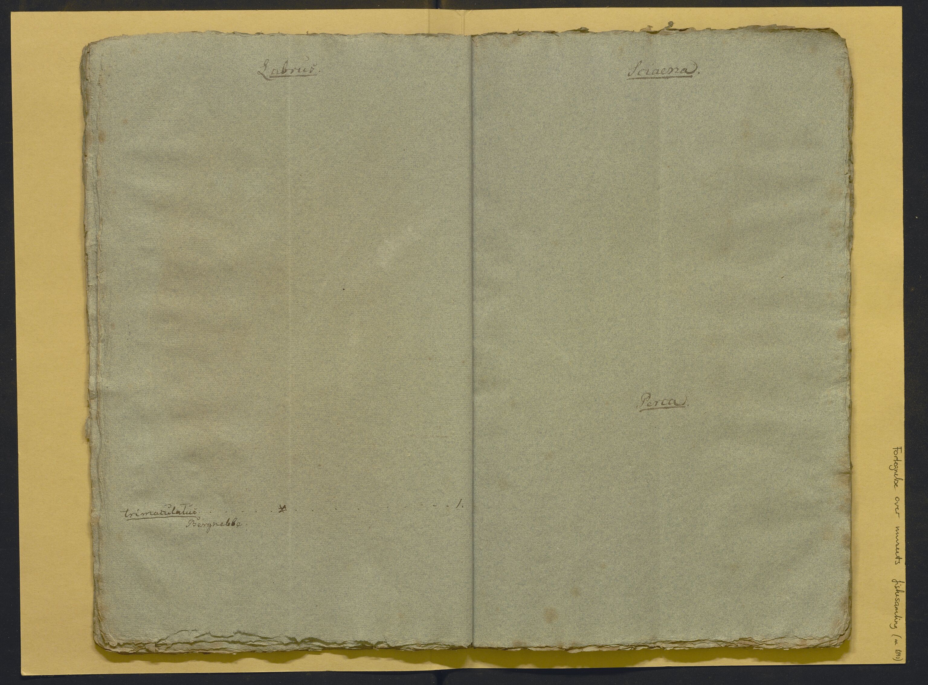 Bergens Museum, AV/SAB-A-17301/02/F/L0001: Kataloger over gjenstander og pergamentbrev , 1825-1880, p. 506