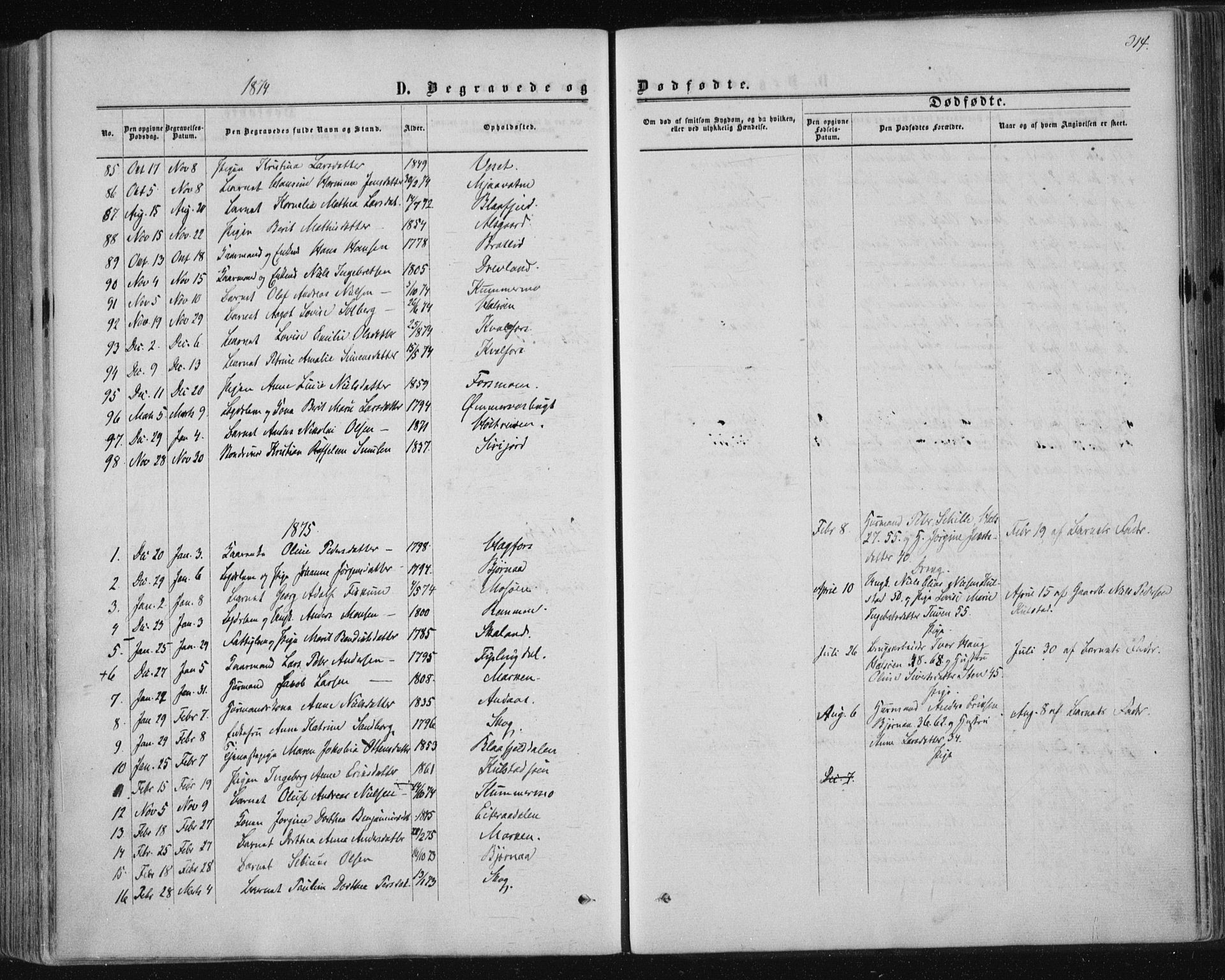 Ministerialprotokoller, klokkerbøker og fødselsregistre - Nordland, SAT/A-1459/820/L0294: Parish register (official) no. 820A15, 1866-1879, p. 314