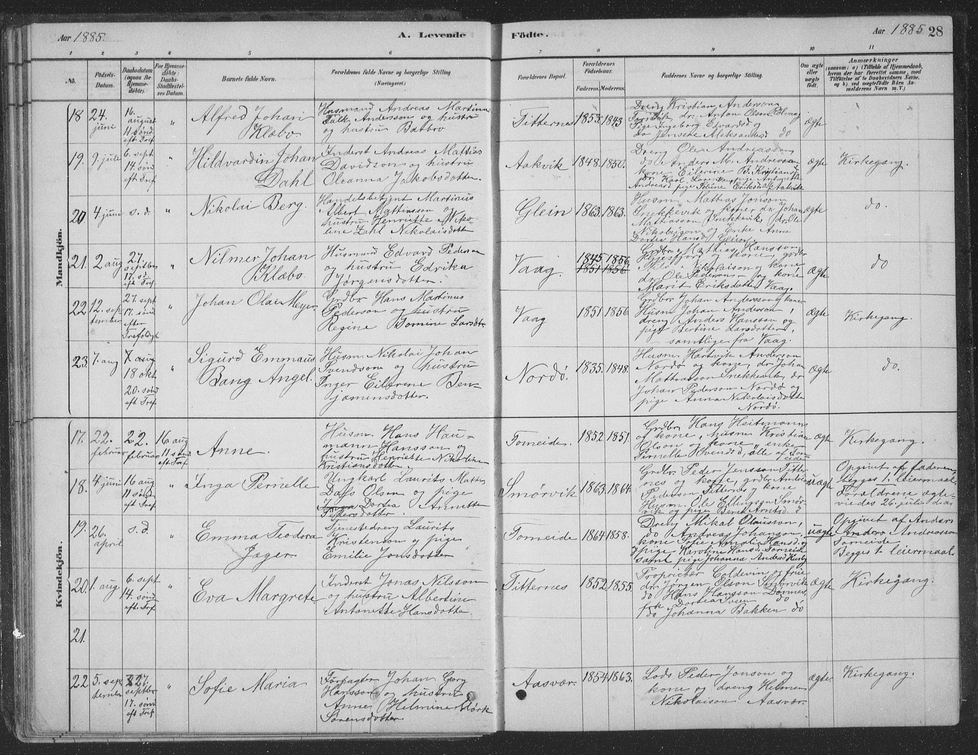 Ministerialprotokoller, klokkerbøker og fødselsregistre - Nordland, SAT/A-1459/835/L0532: Parish register (copy) no. 835C04, 1880-1905, p. 28