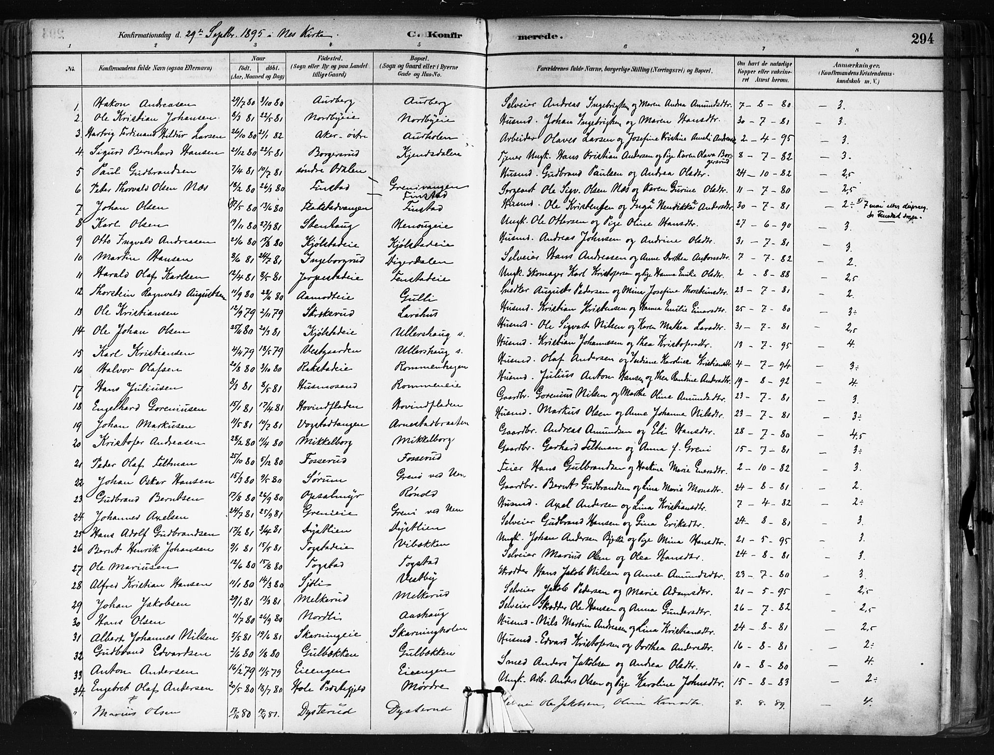 Nes prestekontor Kirkebøker, SAO/A-10410/F/Fa/L0010: Parish register (official) no. I 10, 1883-1898, p. 294