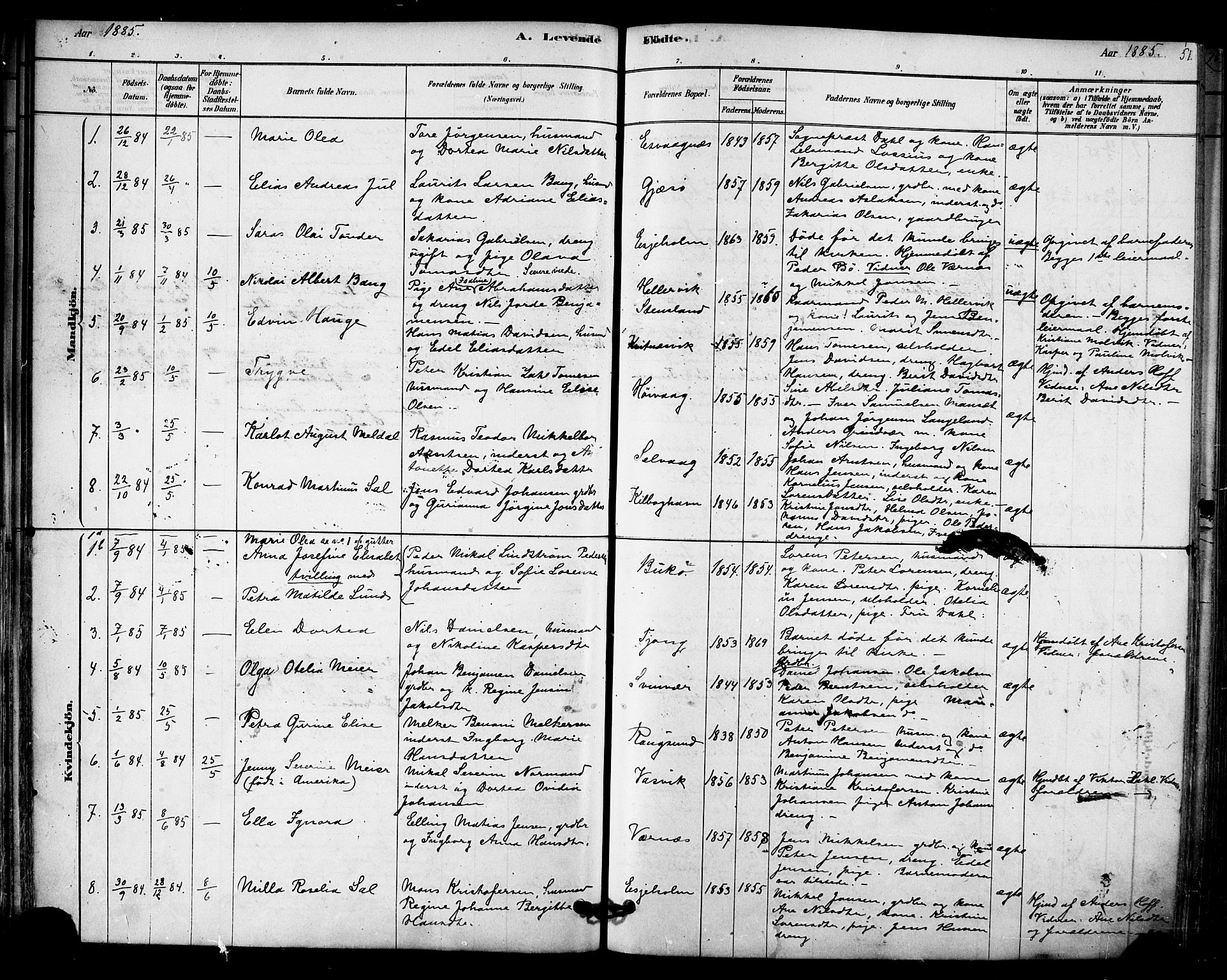 Ministerialprotokoller, klokkerbøker og fødselsregistre - Nordland, SAT/A-1459/841/L0609: Parish register (official) no. 841A12, 1878-1901, p. 51