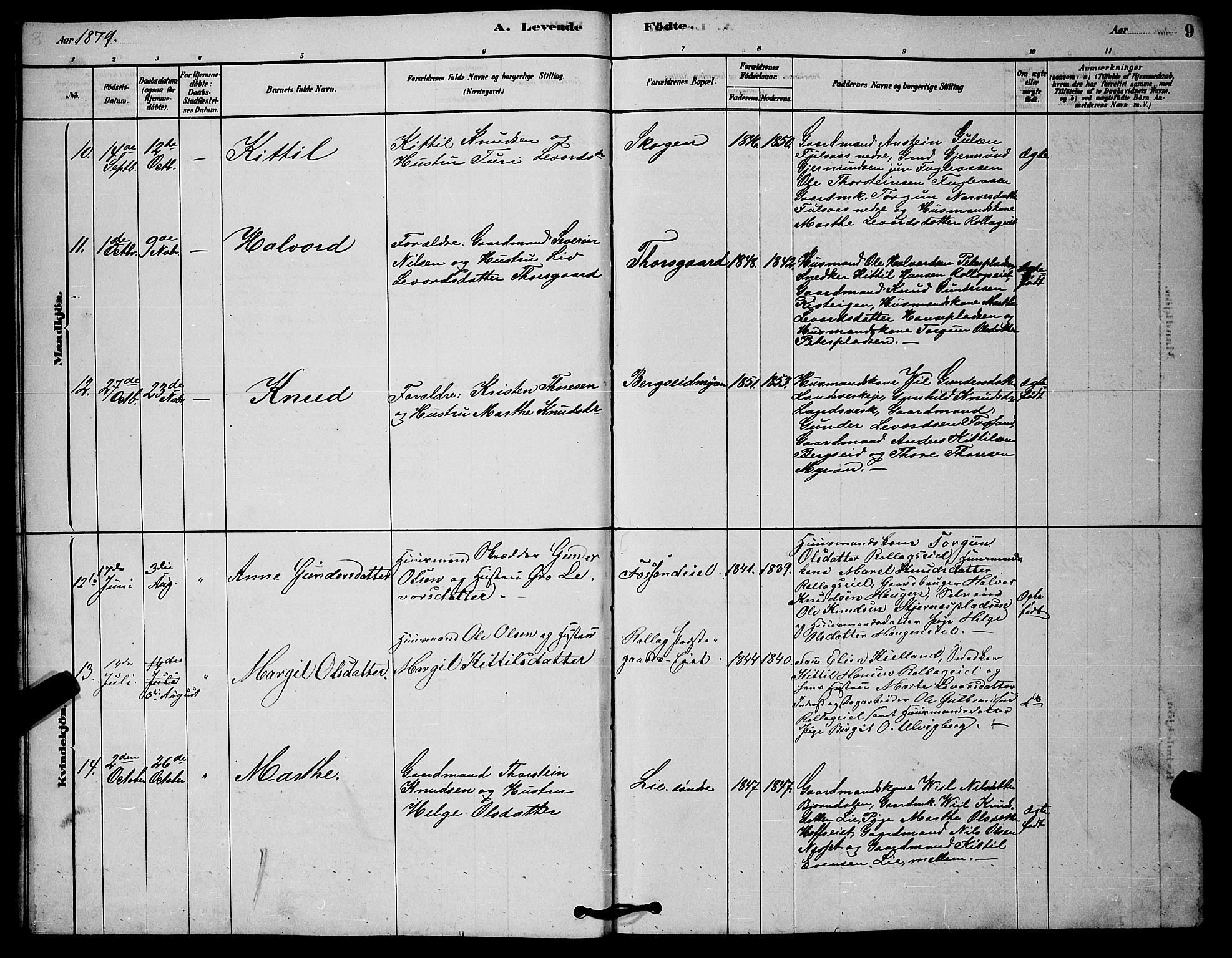 Rollag kirkebøker, AV/SAKO-A-240/G/Ga/L0004: Parish register (copy) no. I 4, 1878-1903, p. 9