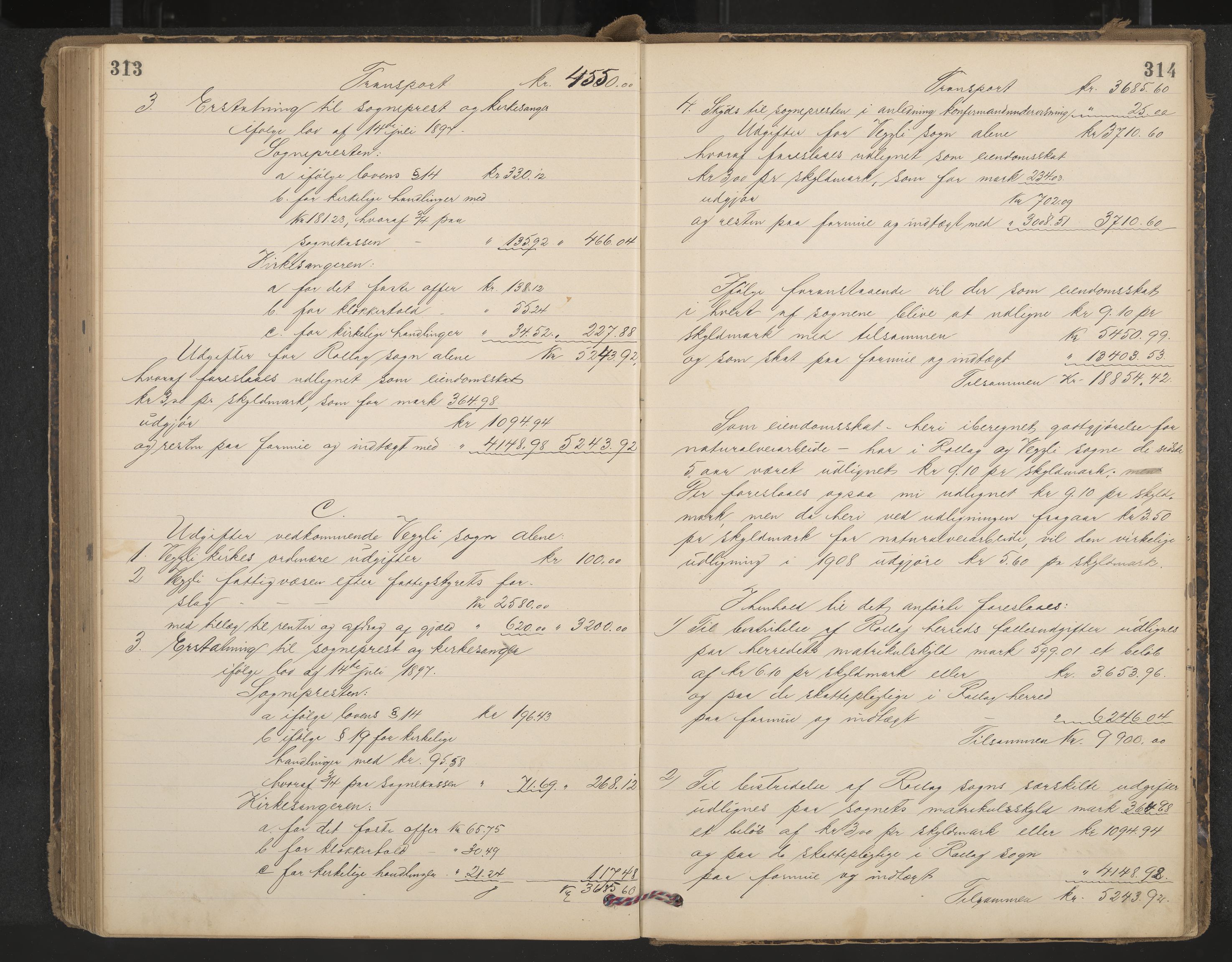 Rollag formannskap og sentraladministrasjon, IKAK/0632021-2/A/Aa/L0004: Møtebok, 1897-1909, p. 313-314