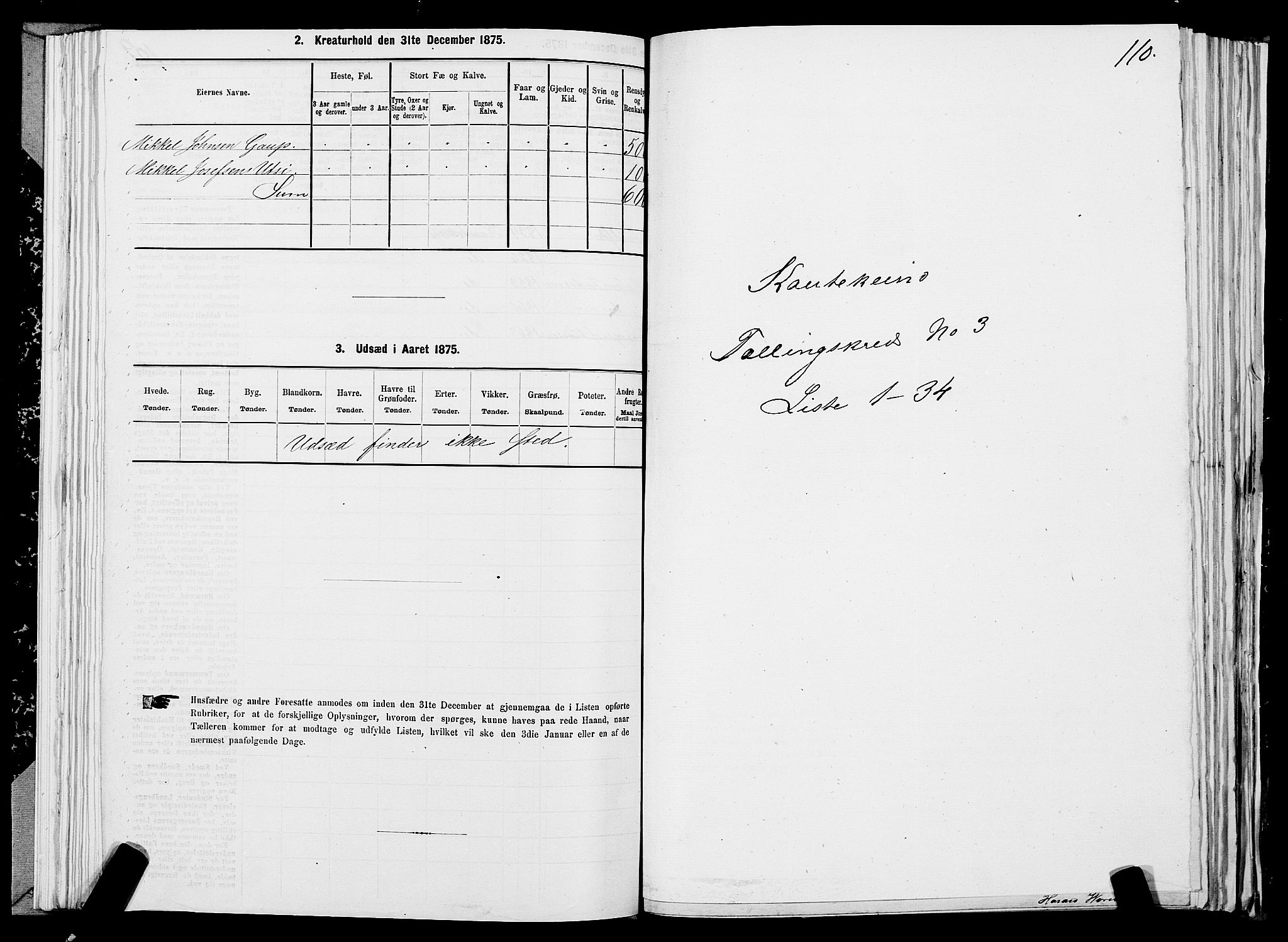 SATØ, 1875 census for 2011P Kautokeino, 1875, p. 1110