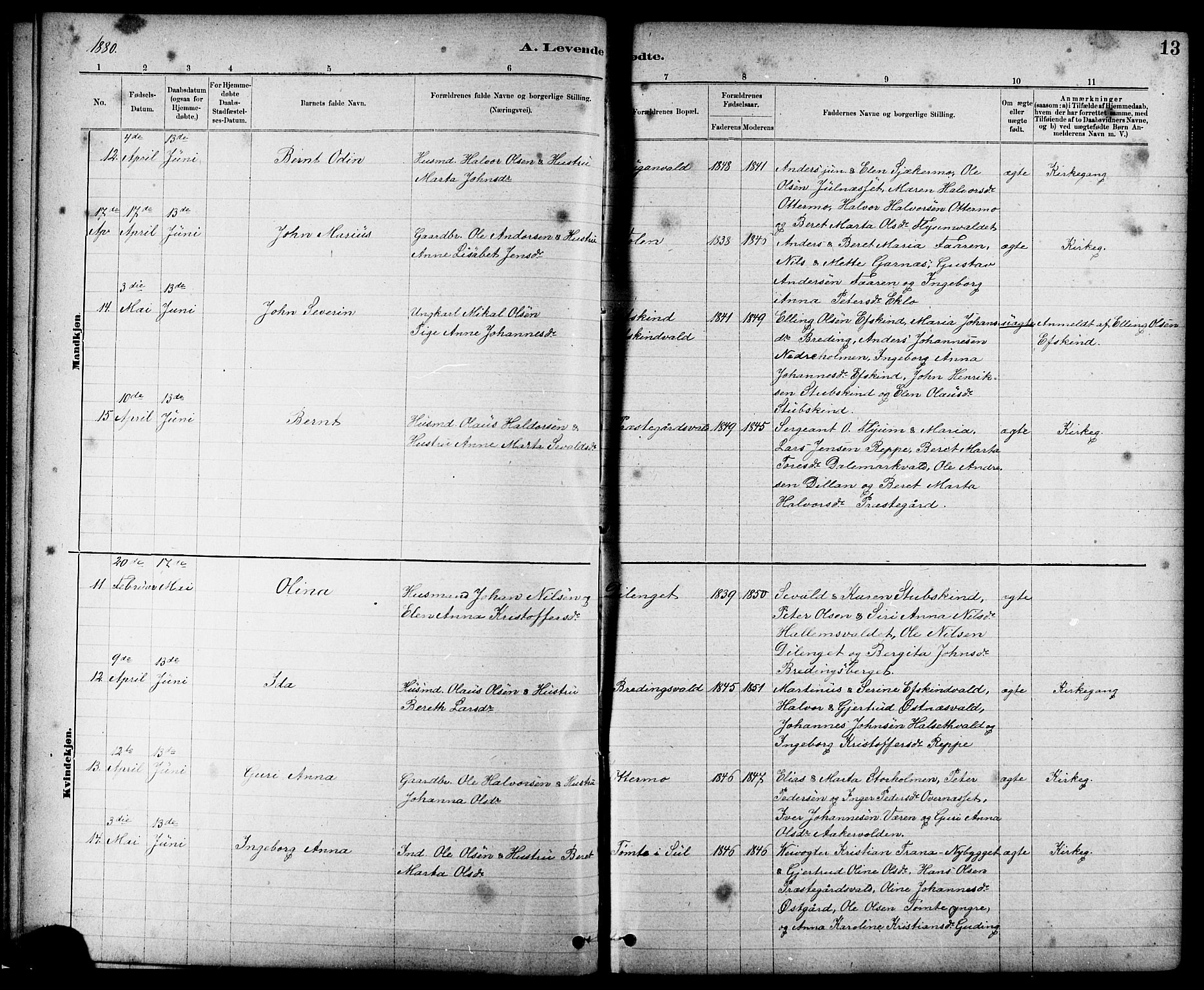 Ministerialprotokoller, klokkerbøker og fødselsregistre - Nord-Trøndelag, AV/SAT-A-1458/724/L0267: Parish register (copy) no. 724C03, 1879-1898, p. 13