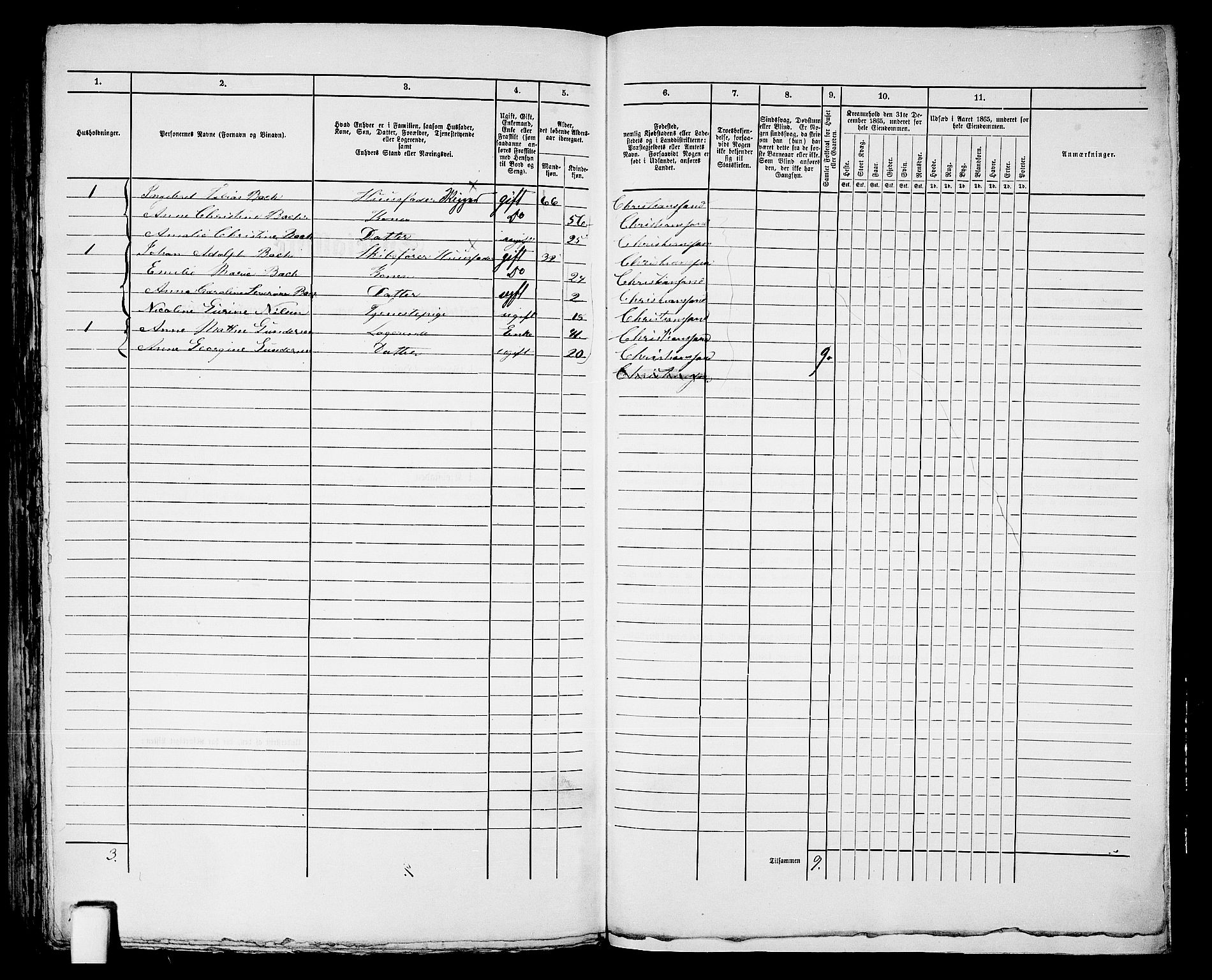 RA, 1865 census for Kristiansand, 1865, p. 1534