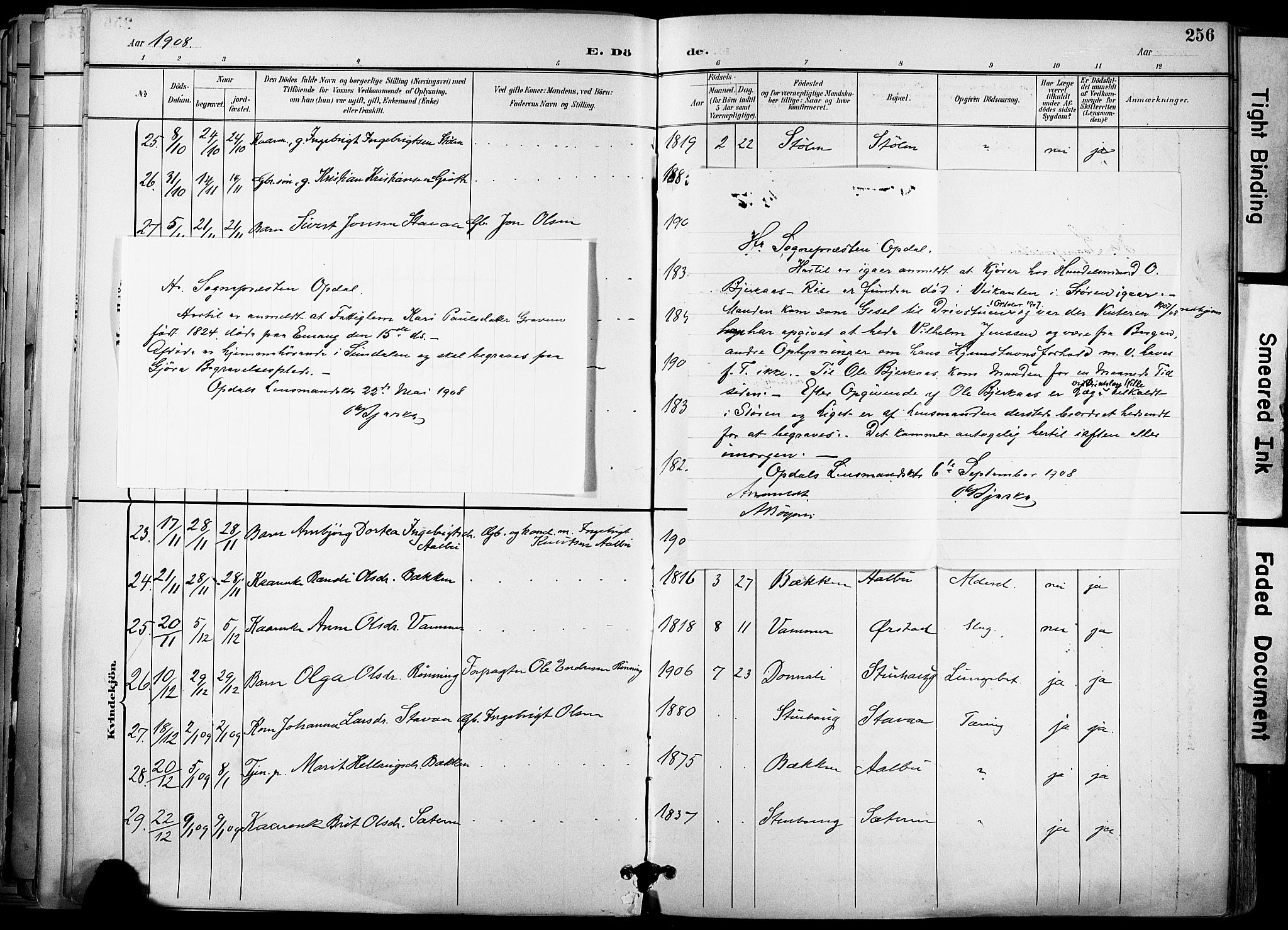 Ministerialprotokoller, klokkerbøker og fødselsregistre - Sør-Trøndelag, SAT/A-1456/678/L0902: Parish register (official) no. 678A11, 1895-1911, p. 256