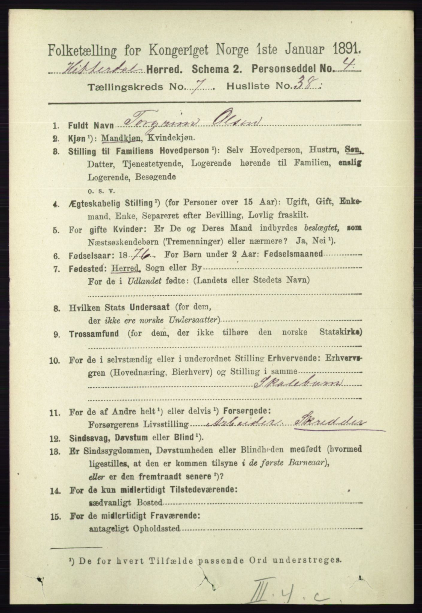 RA, 1891 census for 0823 Heddal, 1891, p. 3229